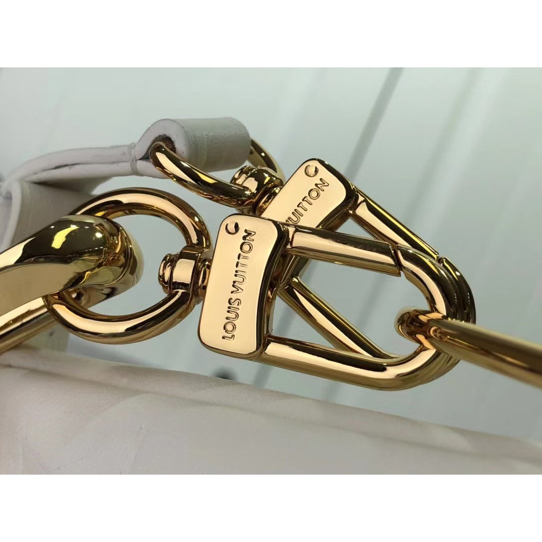 Louis Vuitton  Handbag （20 x 16 x 12cm） - DesignerGu