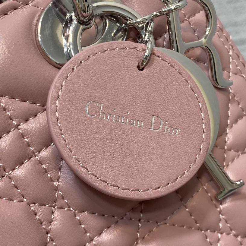 Dior Medium Lady Dior Bag   24cm - DesignerGu