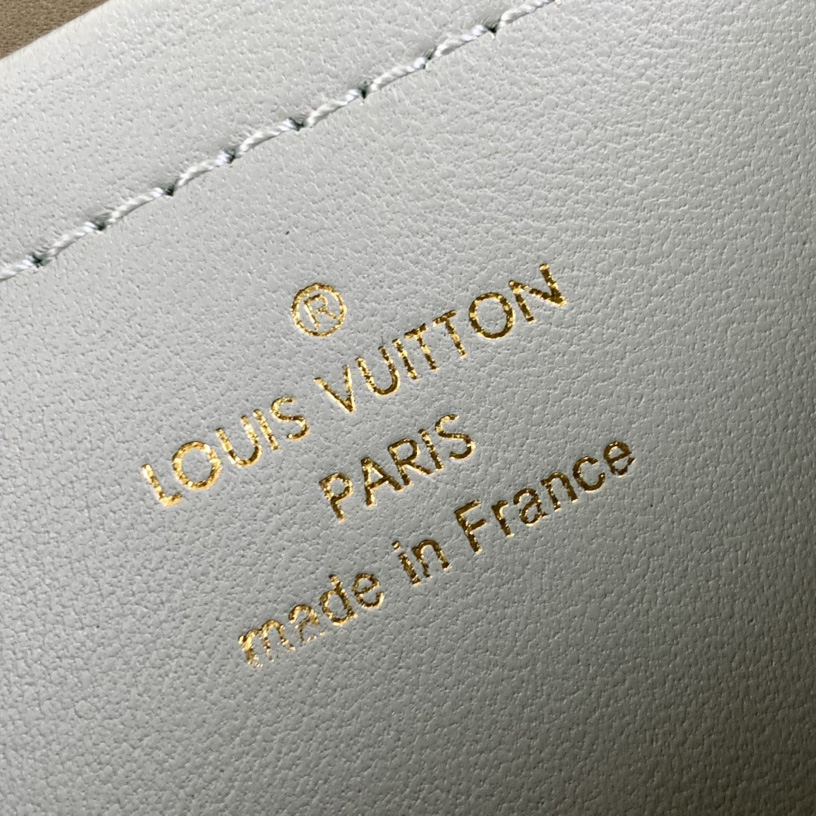 Louis Vuitton Pochette Coussin (20-14-8cm)   M82474 - DesignerGu