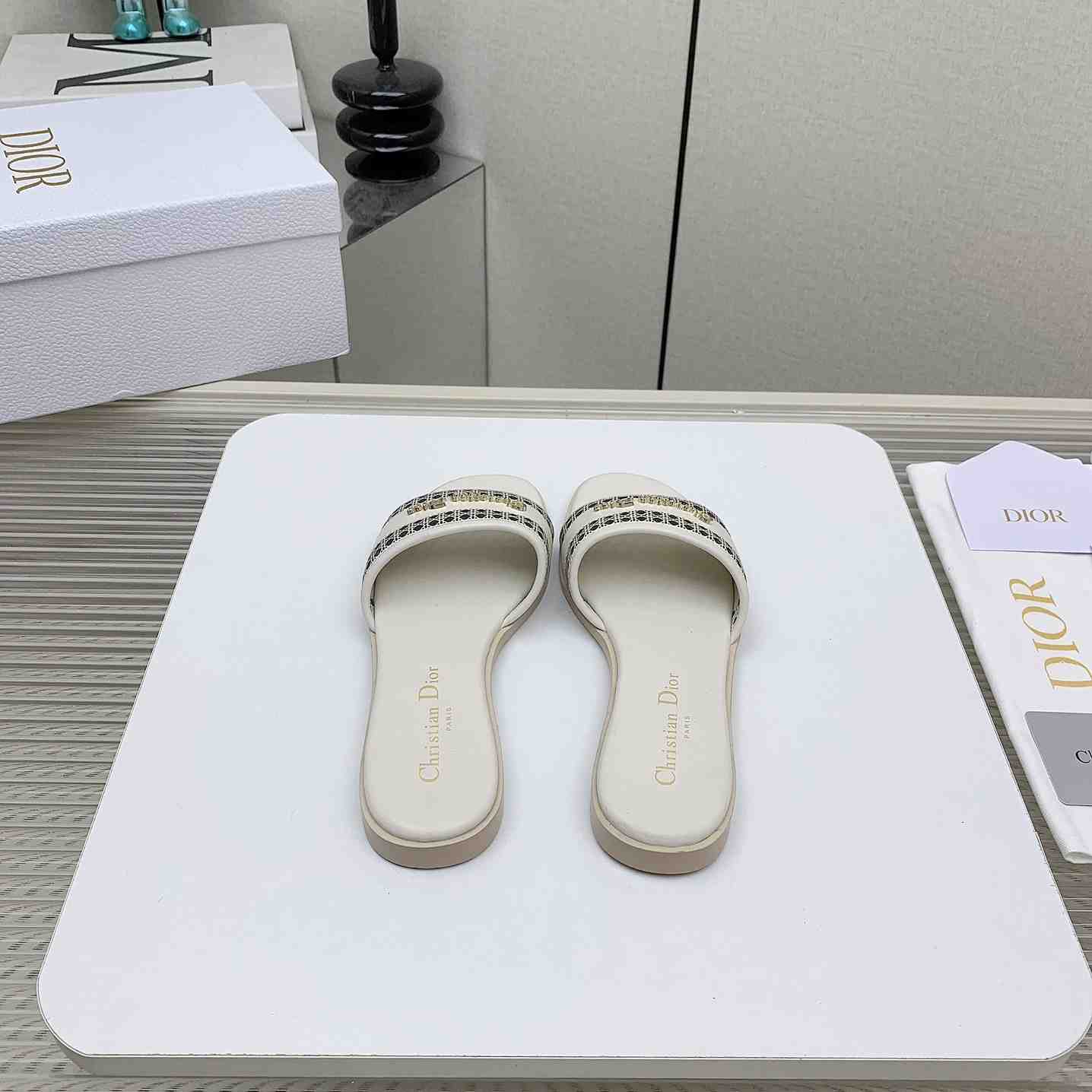 Dior D-Lane Slide  - DesignerGu