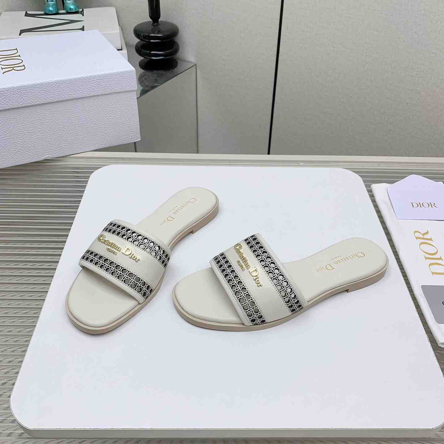 Dior D-Lane Slide  - DesignerGu