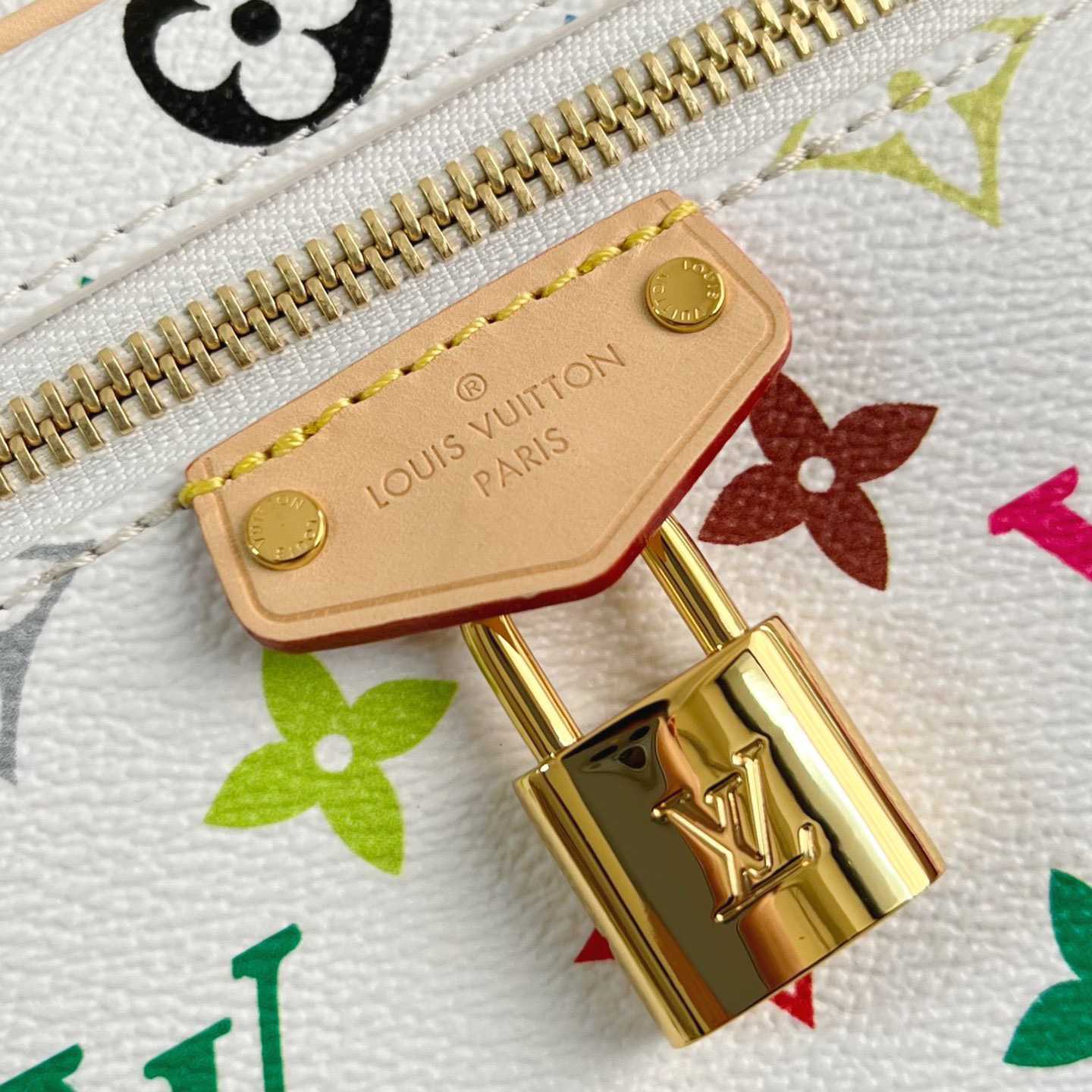 Louis Vuitton LV x TM Vanity Chain Pouch   M13662 - DesignerGu