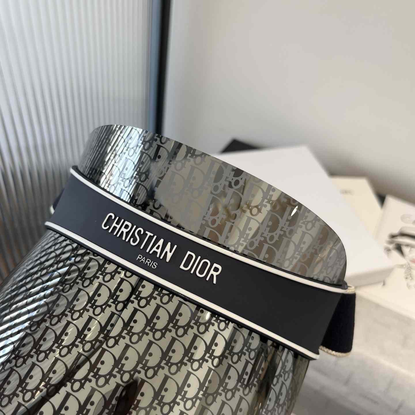 Dior Oblique Cap - DesignerGu