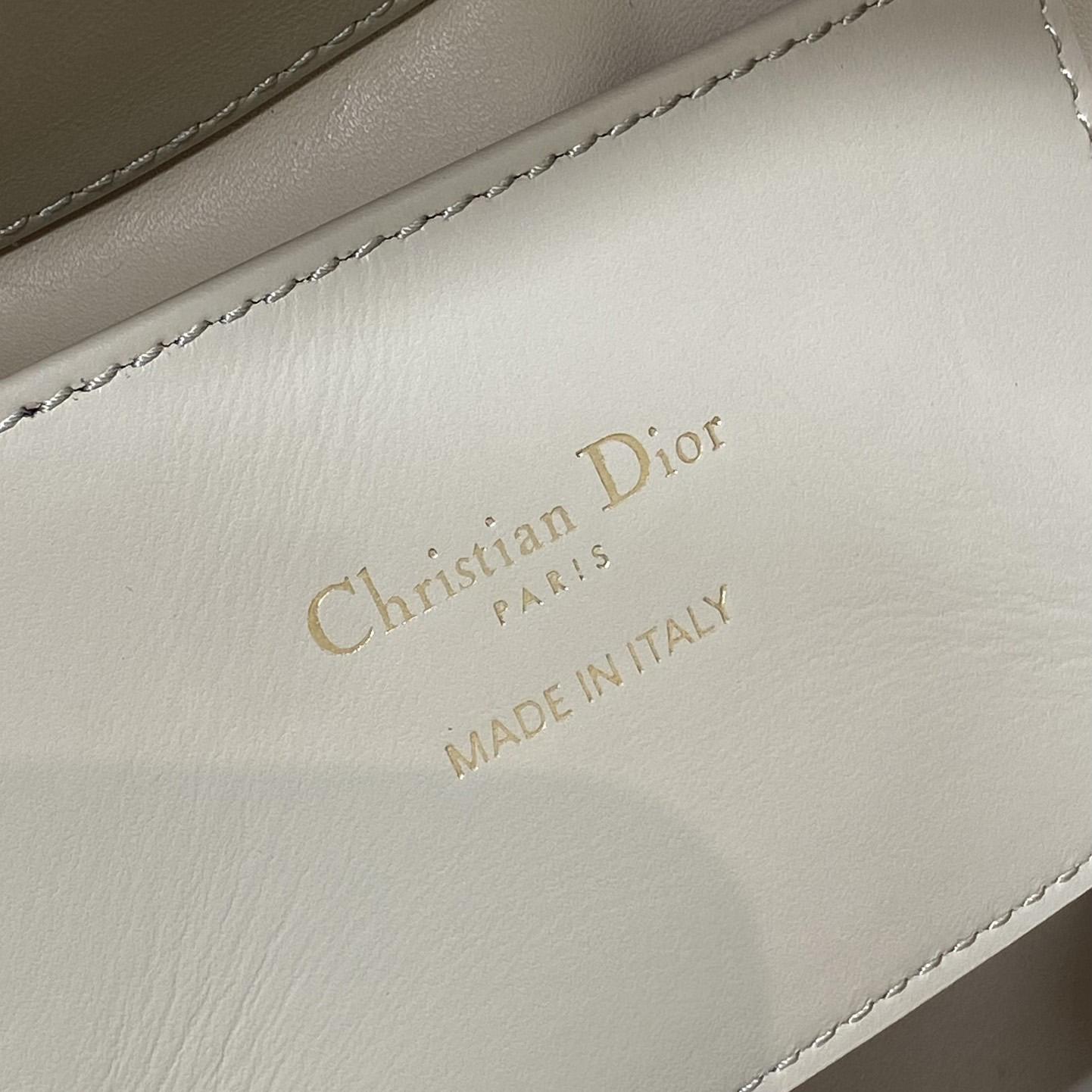 Dior Toujours Vertical Nano Tote Bag  - DesignerGu