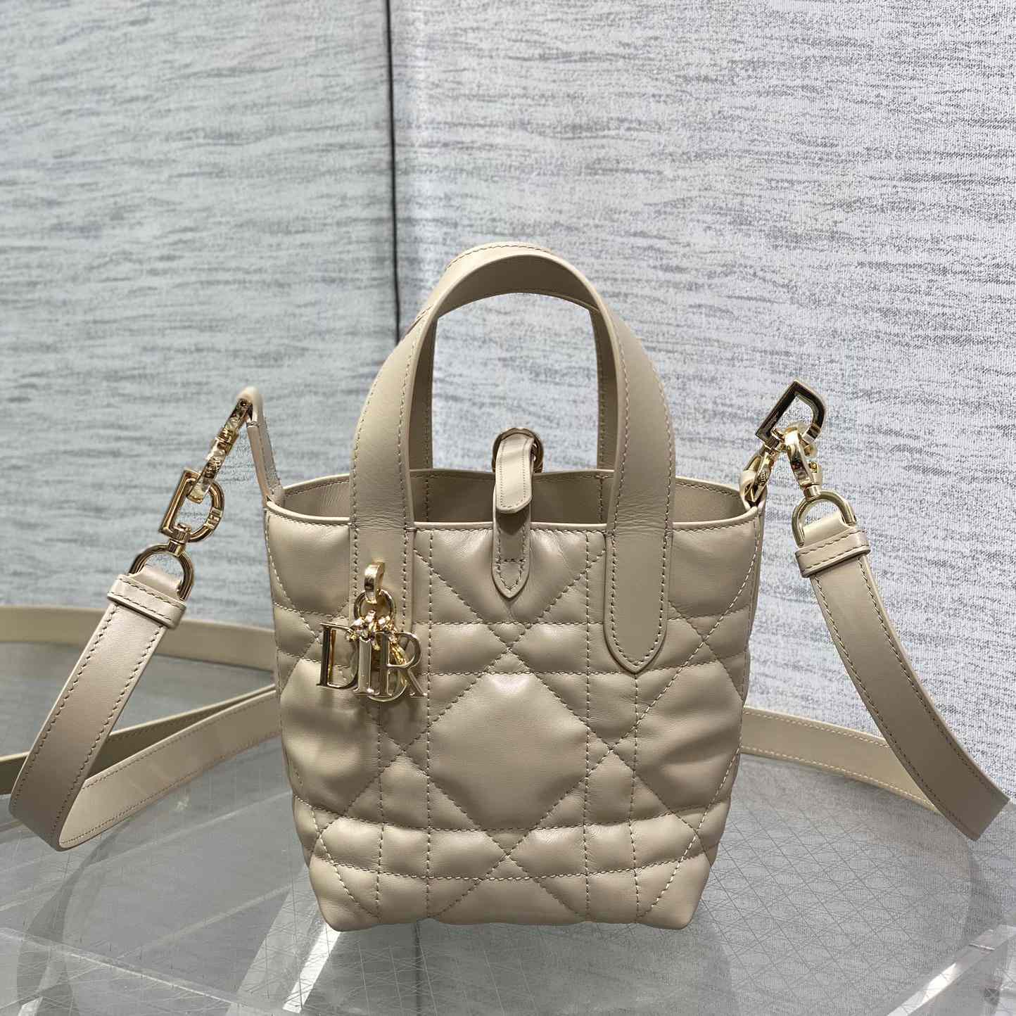 Dior Toujours Vertical Nano Tote Bag  - DesignerGu