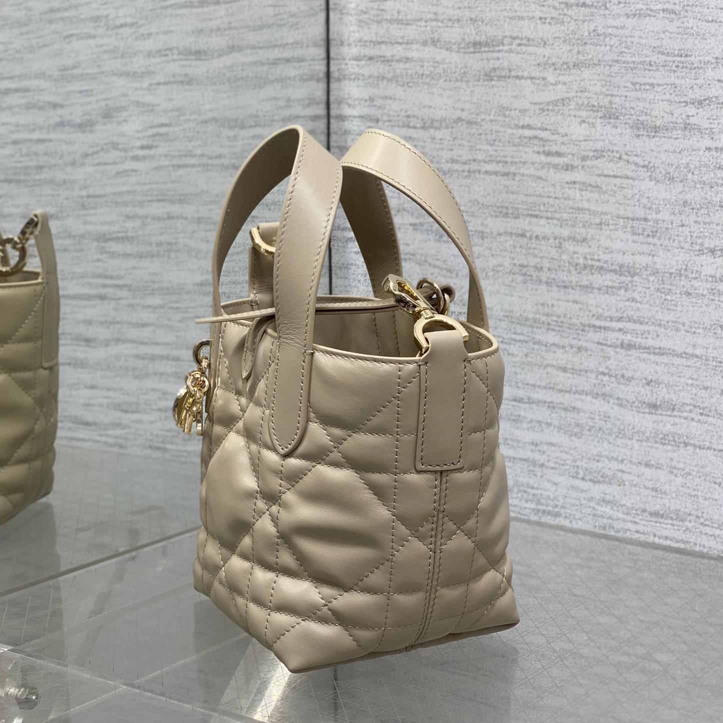 Dior Toujours Vertical Nano Tote Bag  - DesignerGu