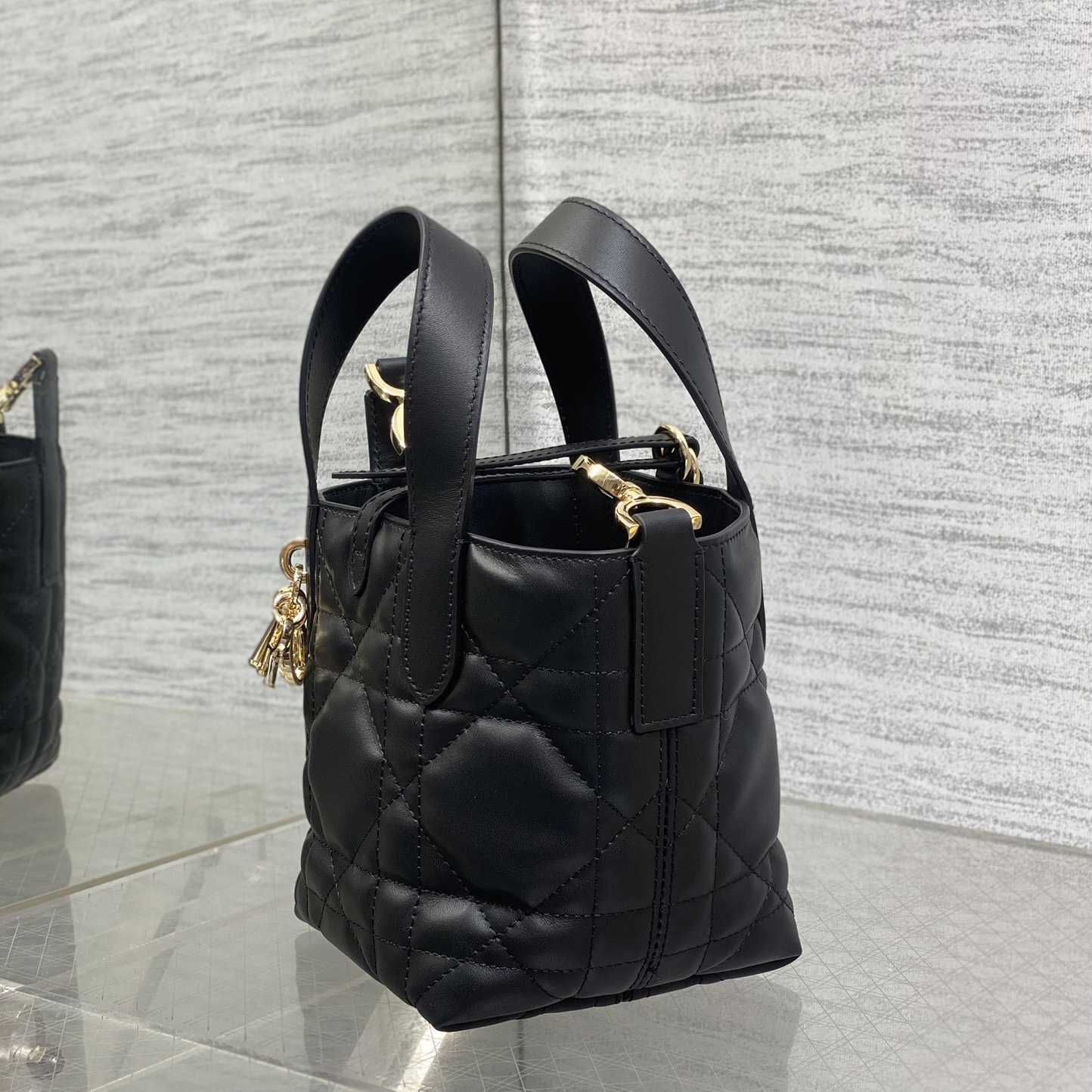 Dior Toujours Vertical Nano Tote Bag  - DesignerGu
