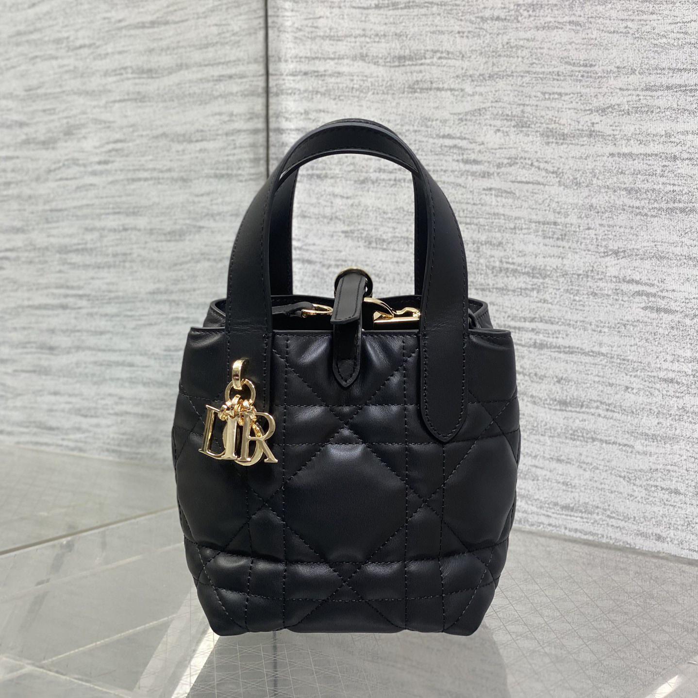 Dior Toujours Vertical Nano Tote Bag  - DesignerGu