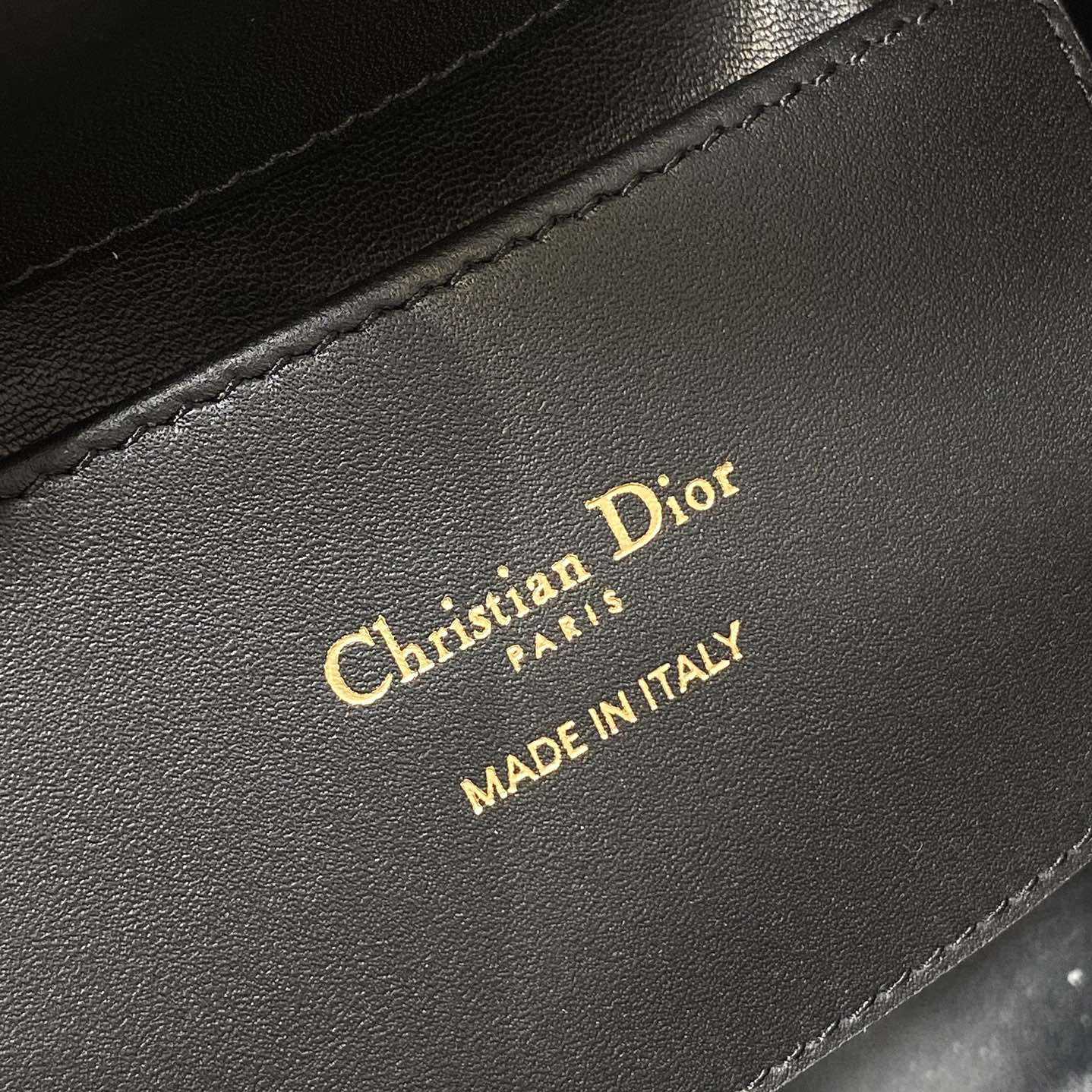Dior Toujours Vertical Nano Tote Bag  - DesignerGu