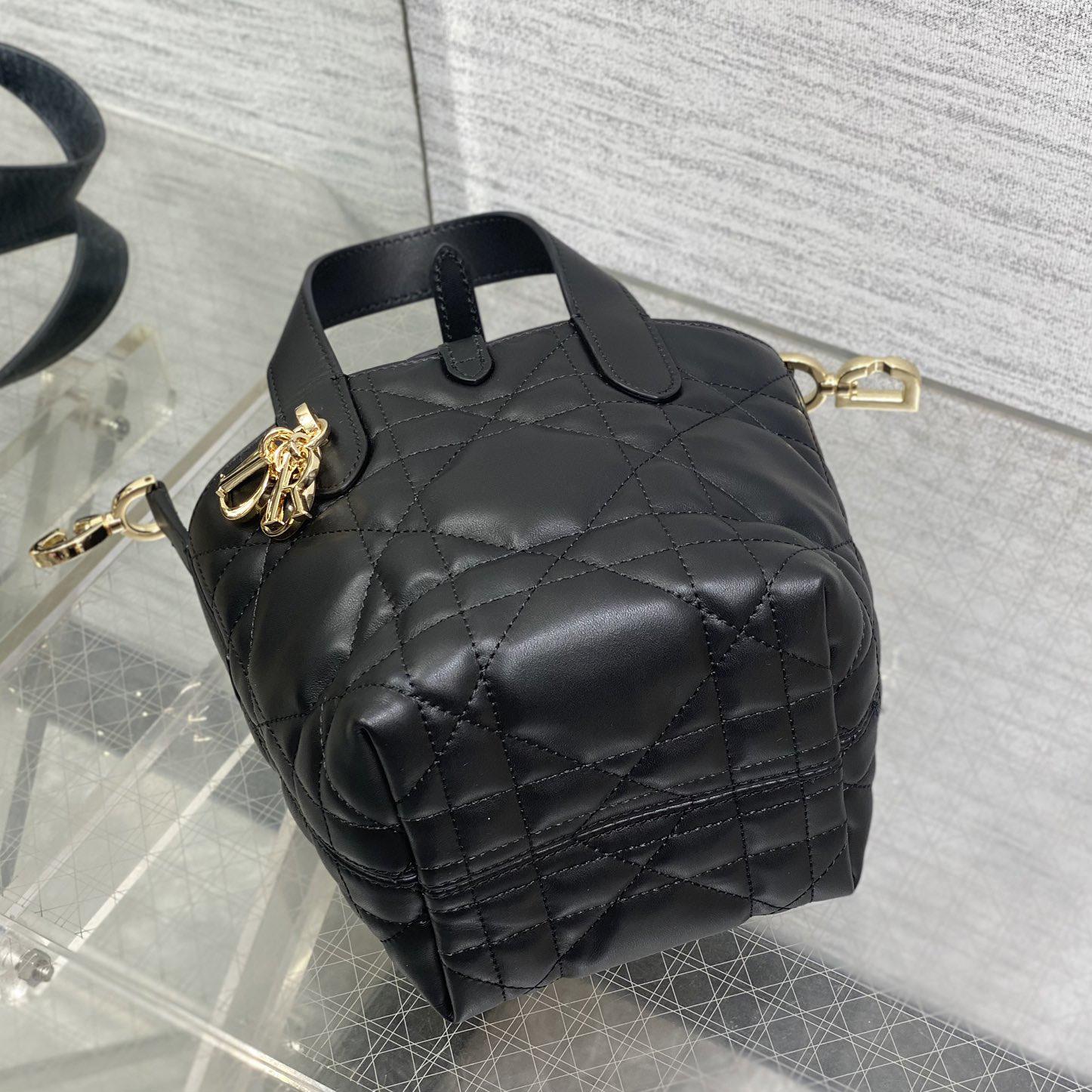 Dior Toujours Vertical Nano Tote Bag  - DesignerGu