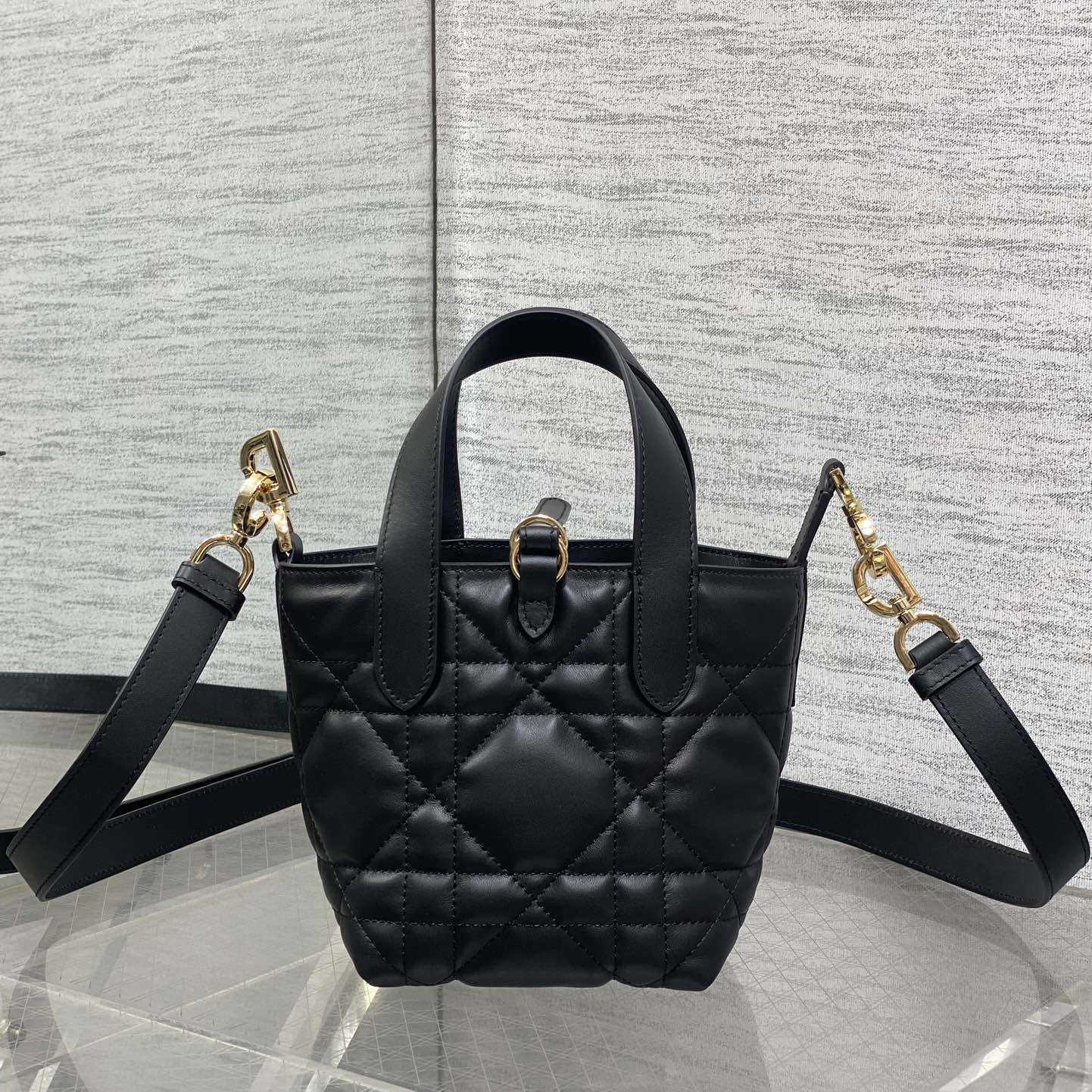 Dior Toujours Vertical Nano Tote Bag  - DesignerGu