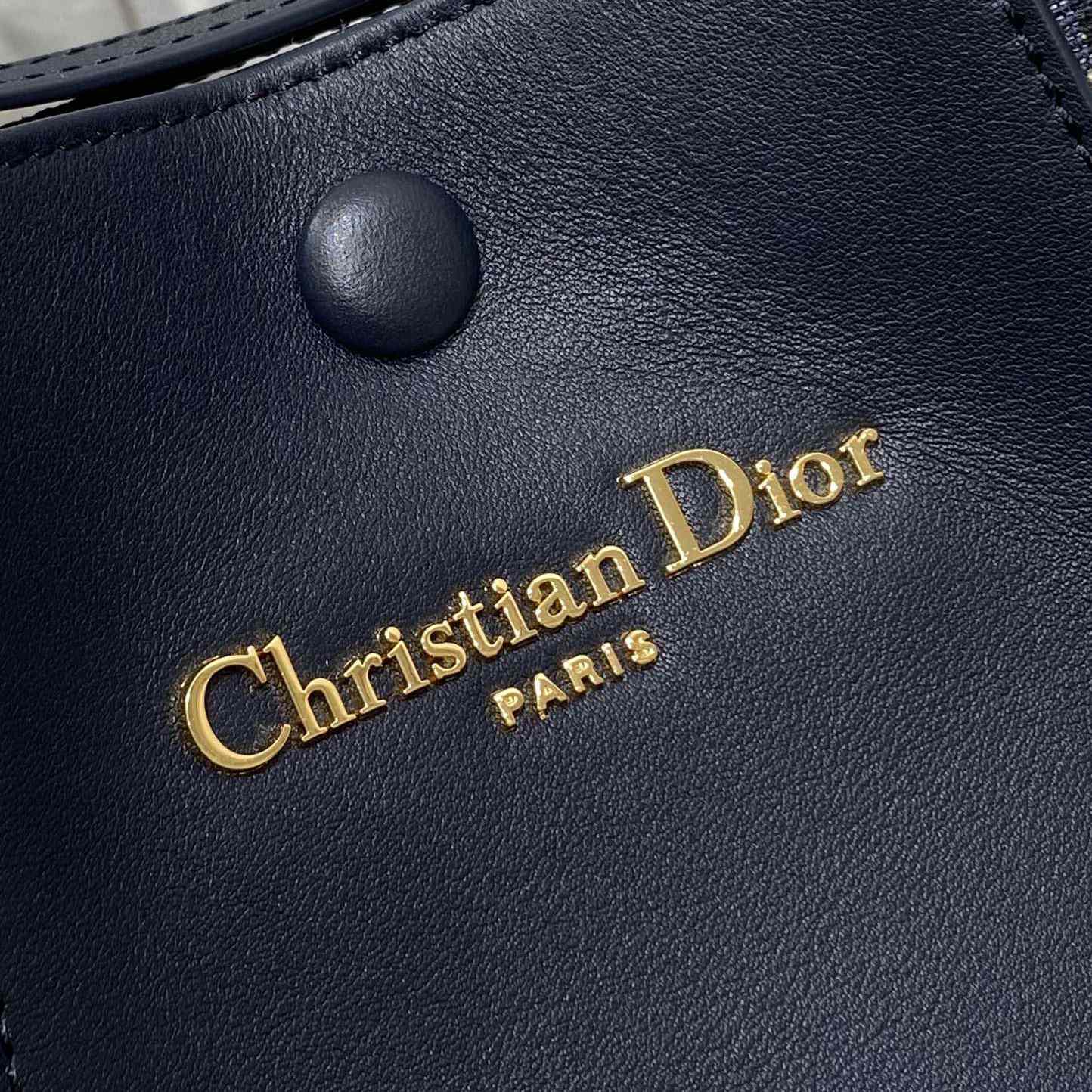 Dior Medium Signature Bucket Bag  - DesignerGu