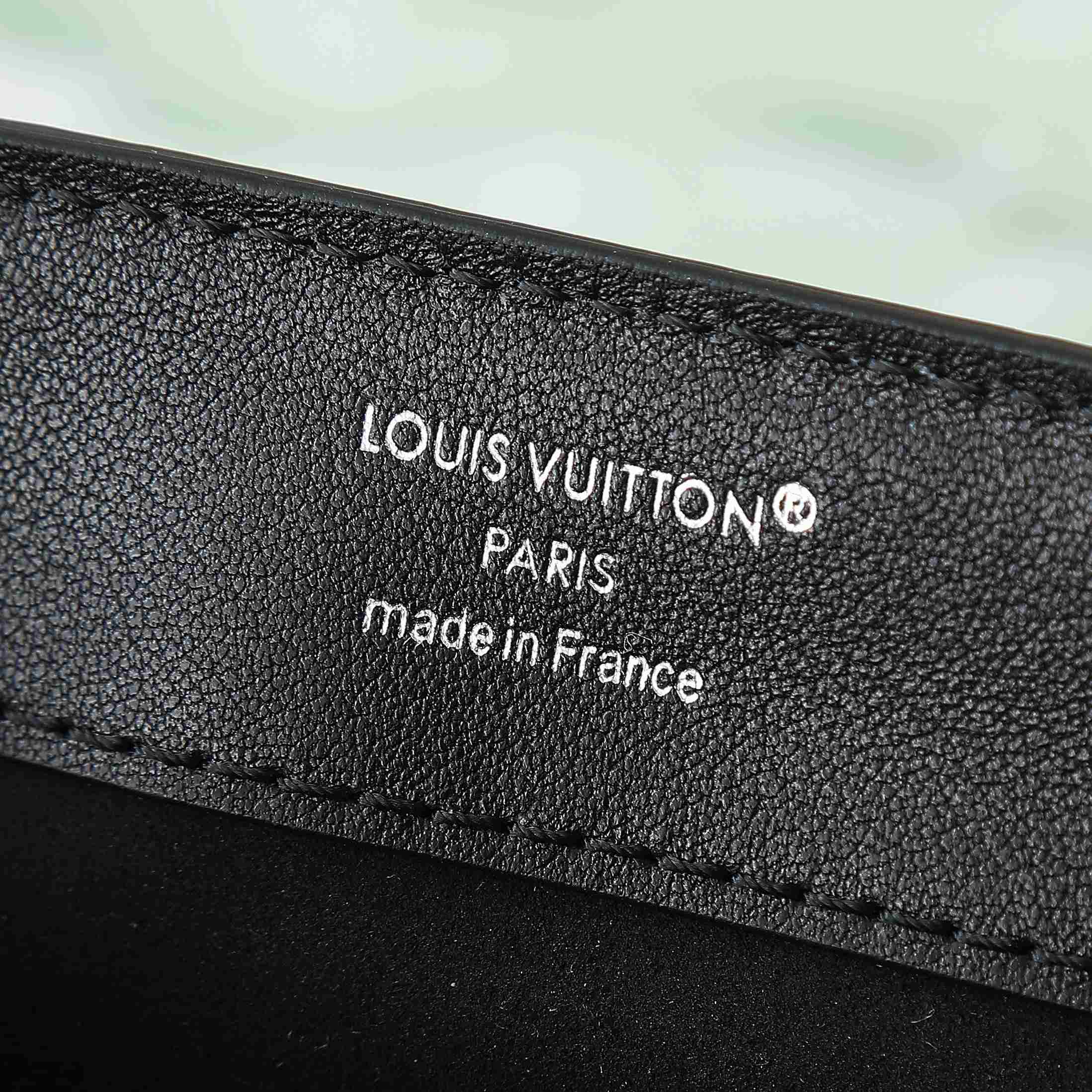 Louis Vuitton Dauphine Soft Vibe MM   M13450 - DesignerGu