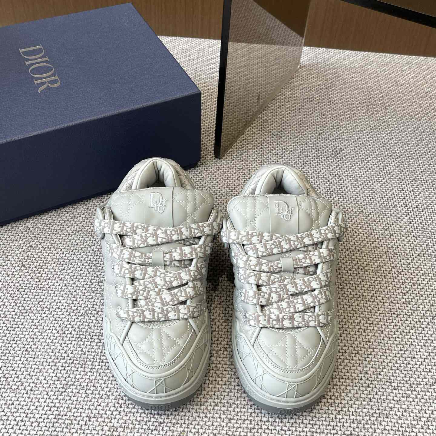 Dior B9S Skater Sneakers - DesignerGu