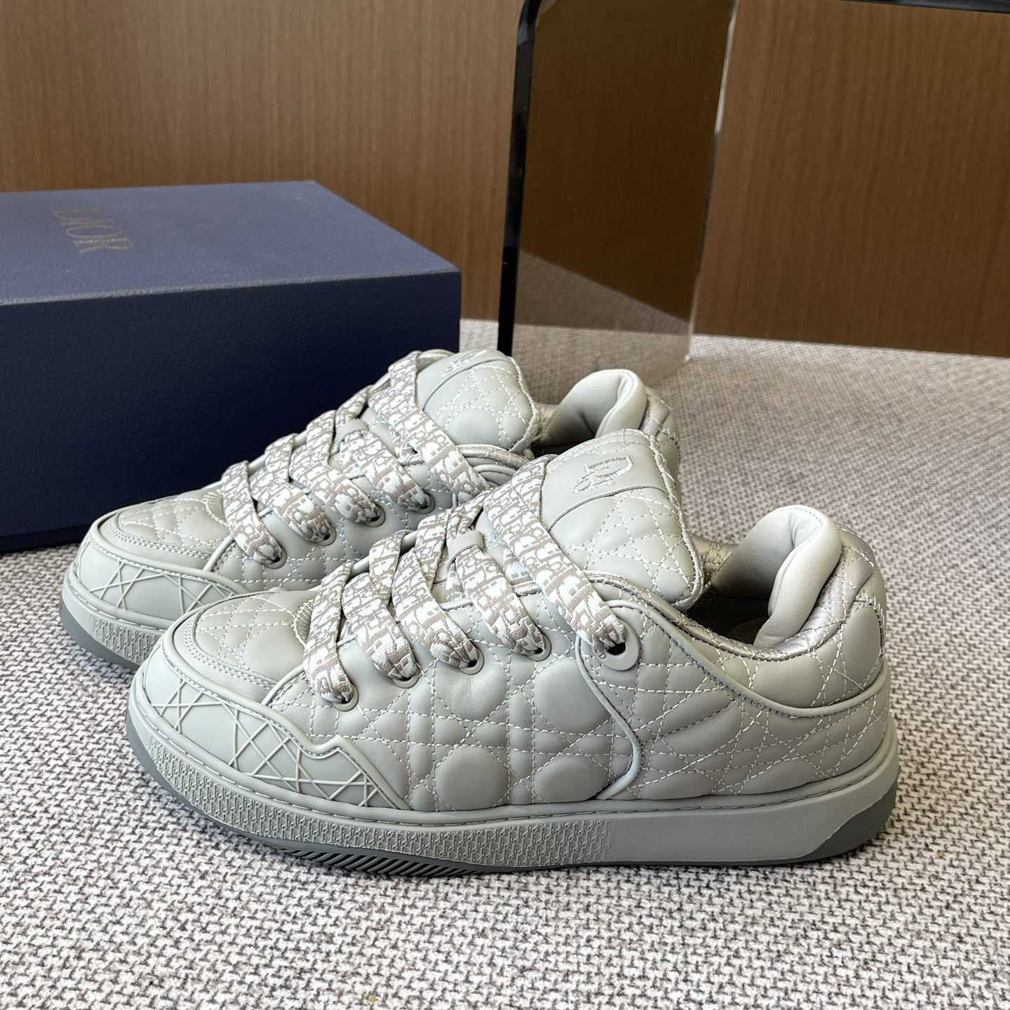 Dior B9S Skater Sneakers - DesignerGu
