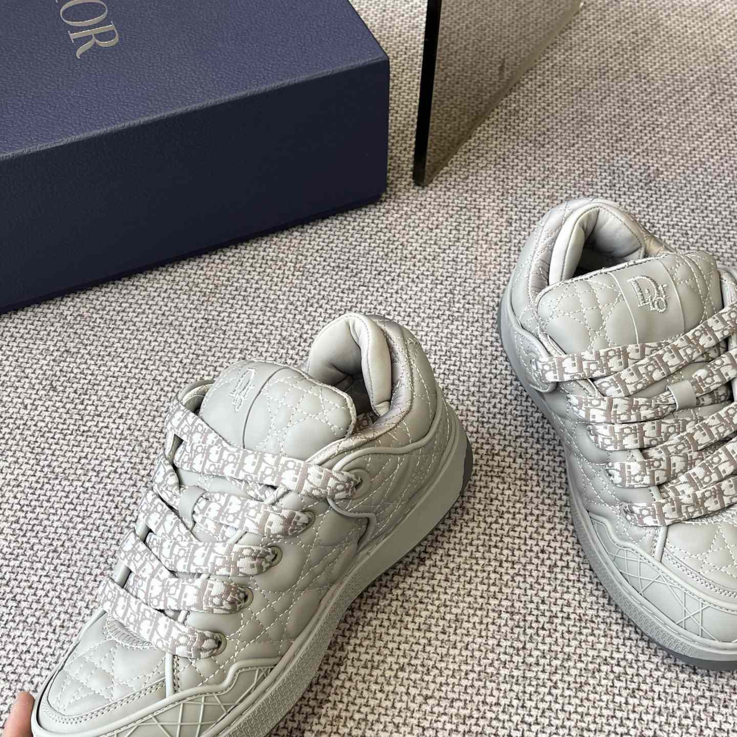 Dior B9S Skater Sneakers - DesignerGu