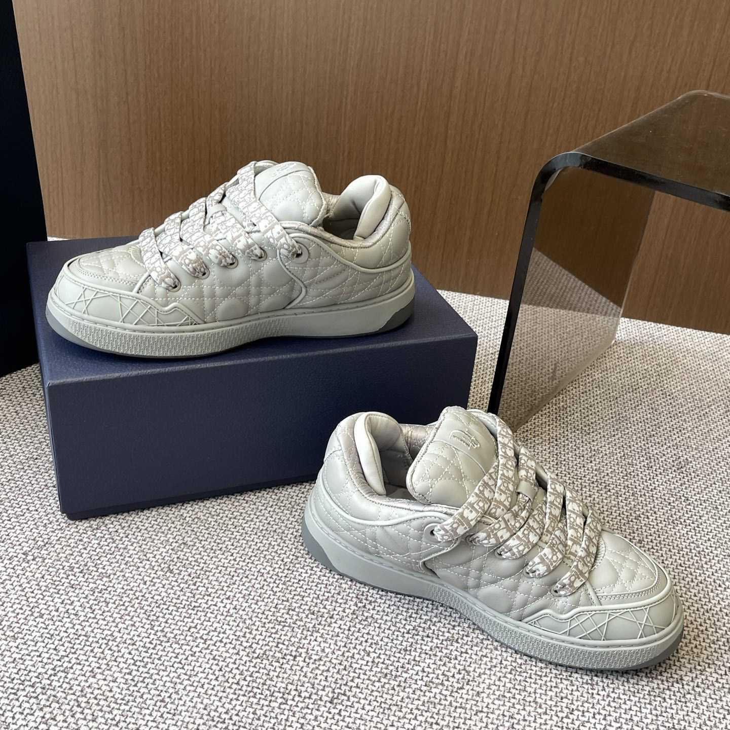 Dior B9S Skater Sneakers - DesignerGu