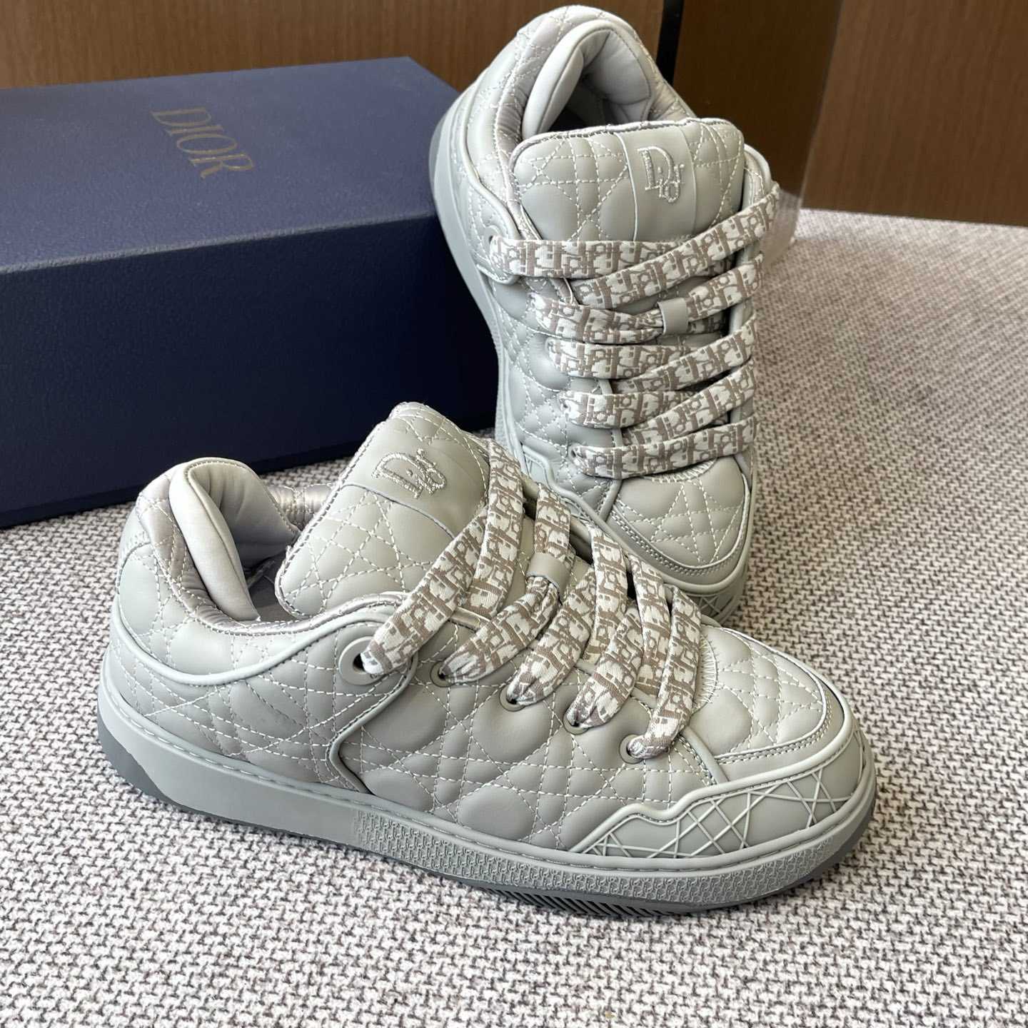 Dior B9S Skater Sneakers - DesignerGu