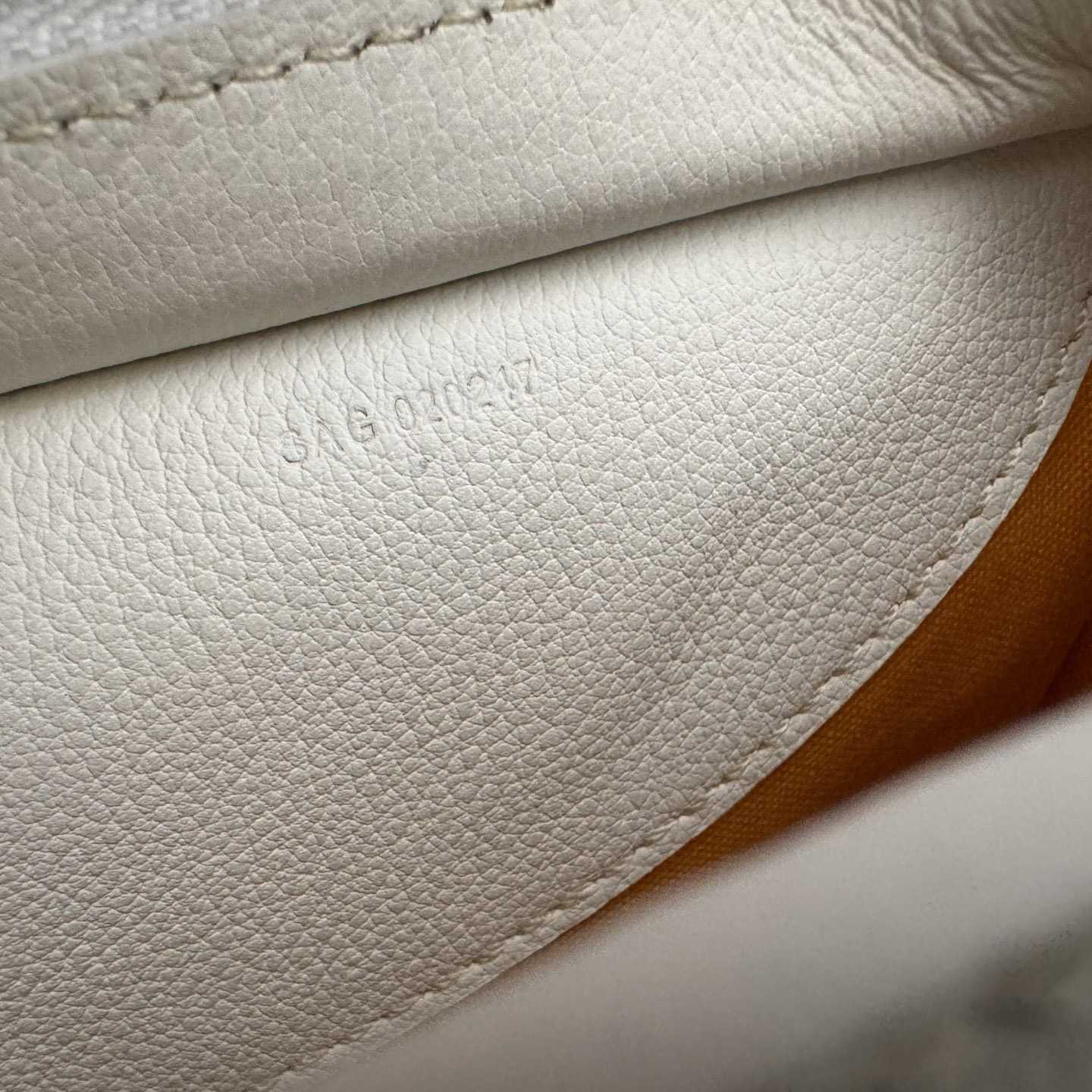 Goyard Hirondelle Bag（Without a box） - DesignerGu