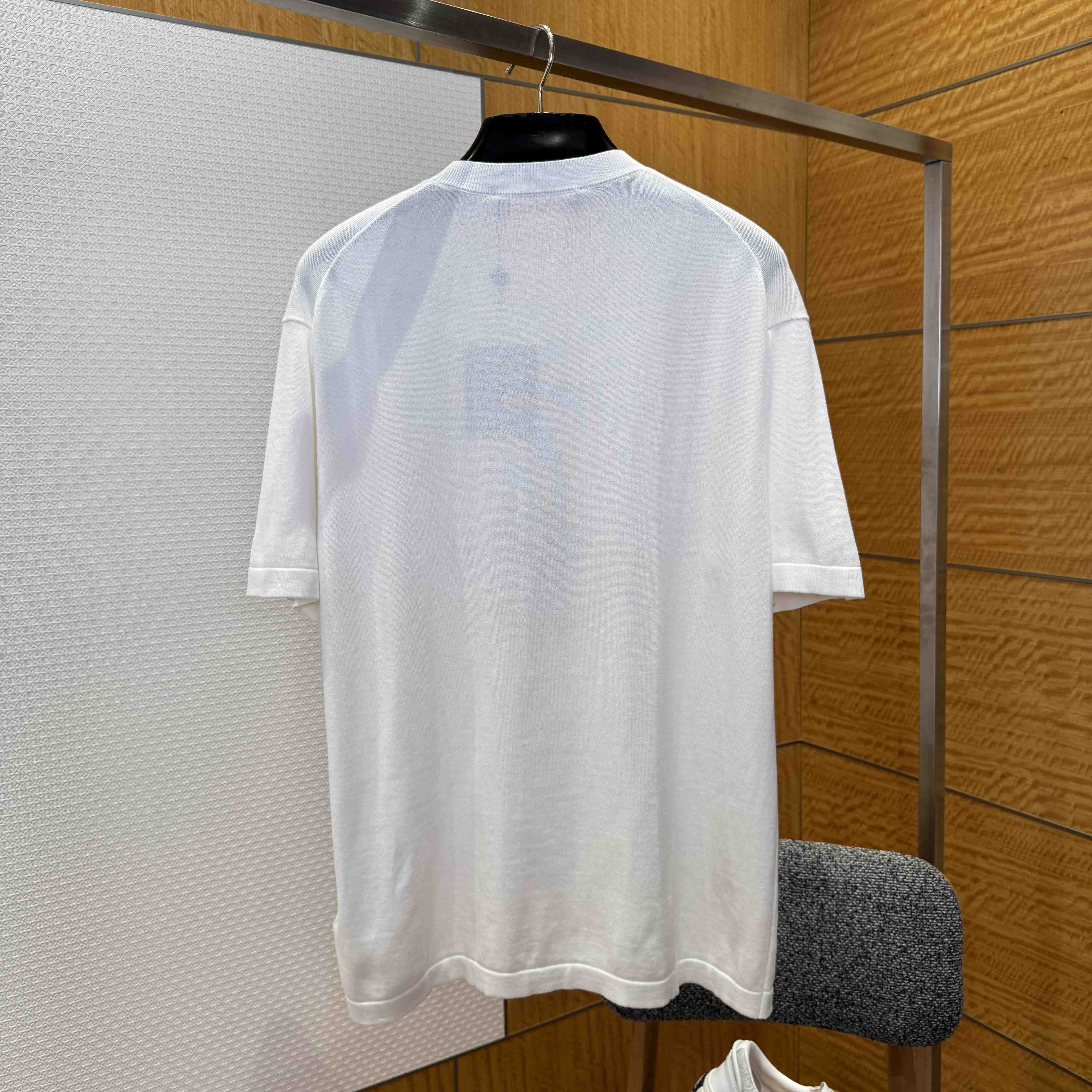 Louis Vuitton Short-Sleeved Knitted Crewneck   1AIMAU - DesignerGu