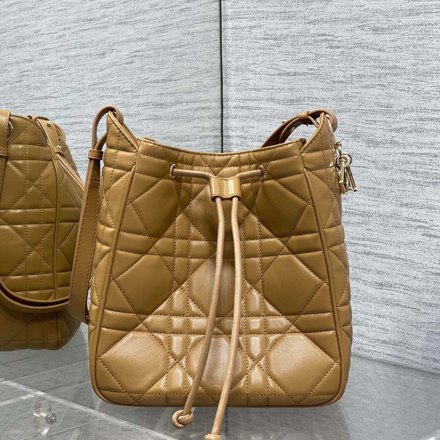 Dior Medium D-Motion Bag  - DesignerGu