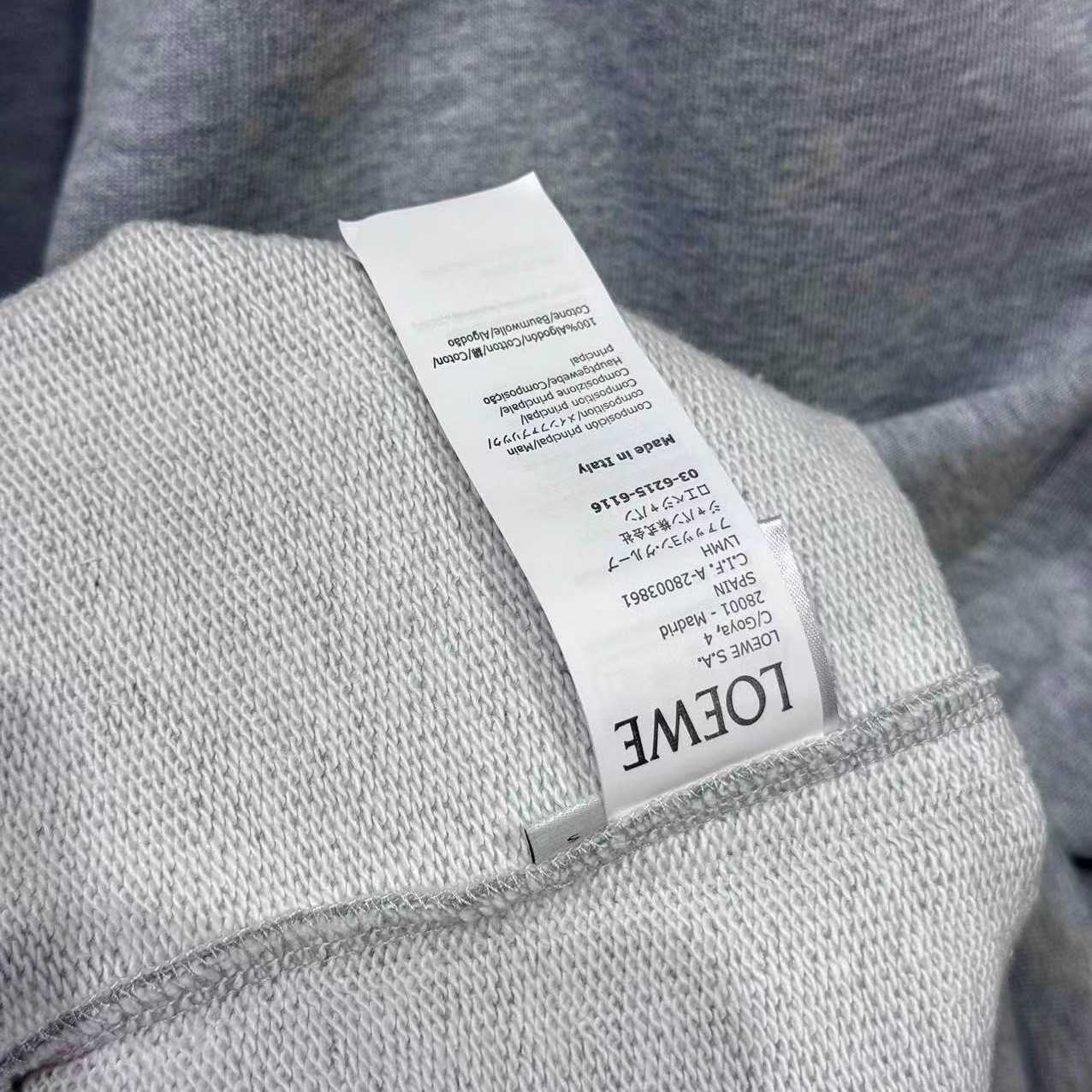 Loewe Sweatshirt In Cotton - DesignerGu