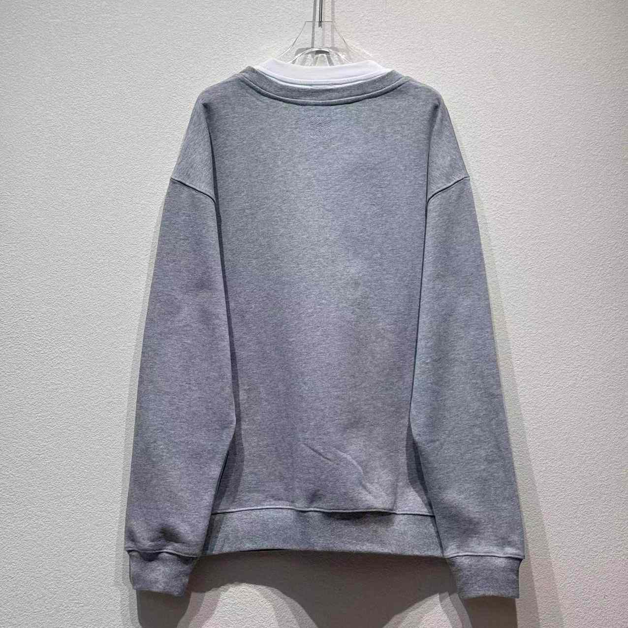 Loewe Sweatshirt In Cotton - DesignerGu