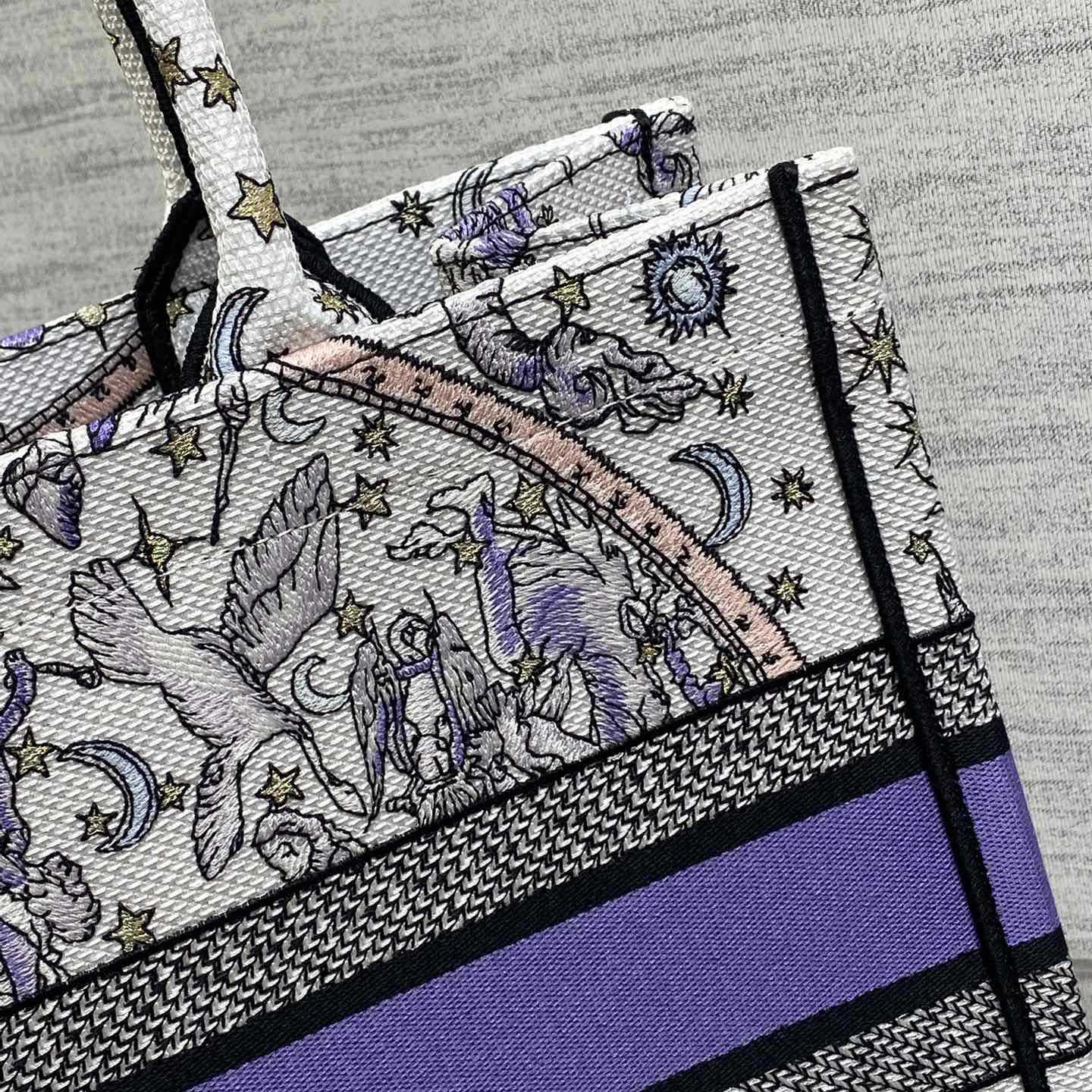 Dior Lucky Medium Dior Book Tote - DesignerGu