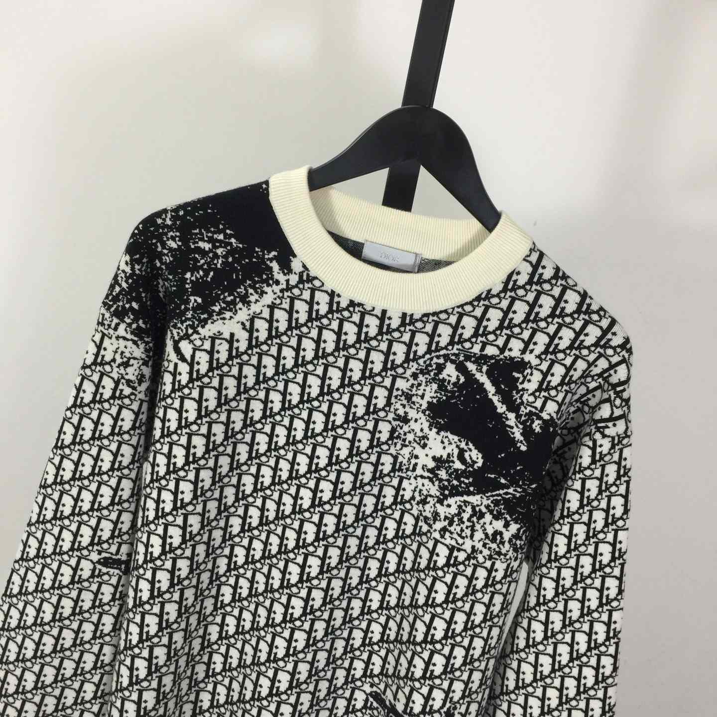 Dior Oblique Sweater In Wool - DesignerGu