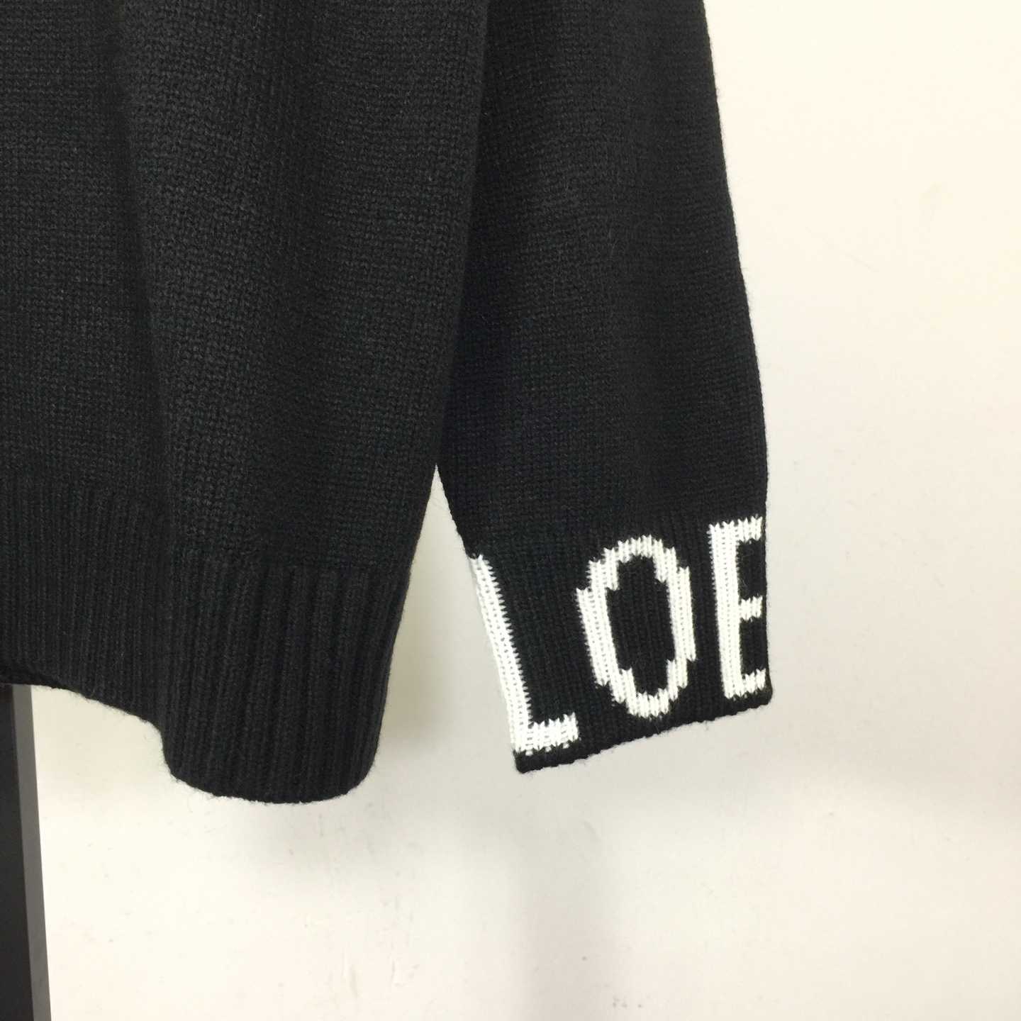 Loewe Sweater In Wool - DesignerGu