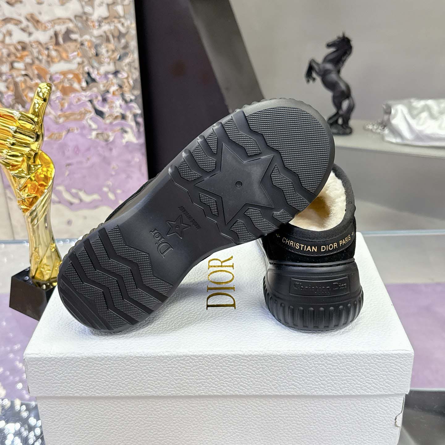 Dior Frost Low Ankle Boot - DesignerGu