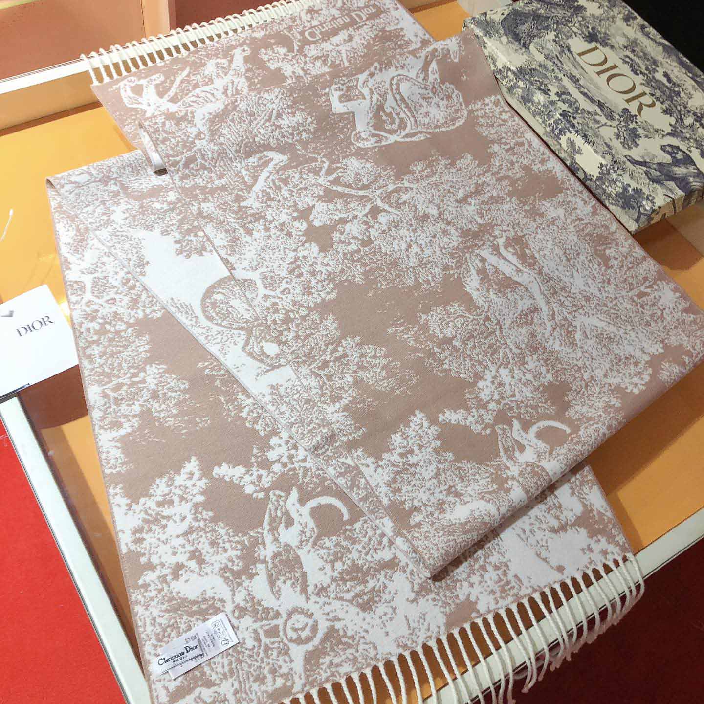Dior Toile de Jouy Sauvage Scarf - DesignerGu