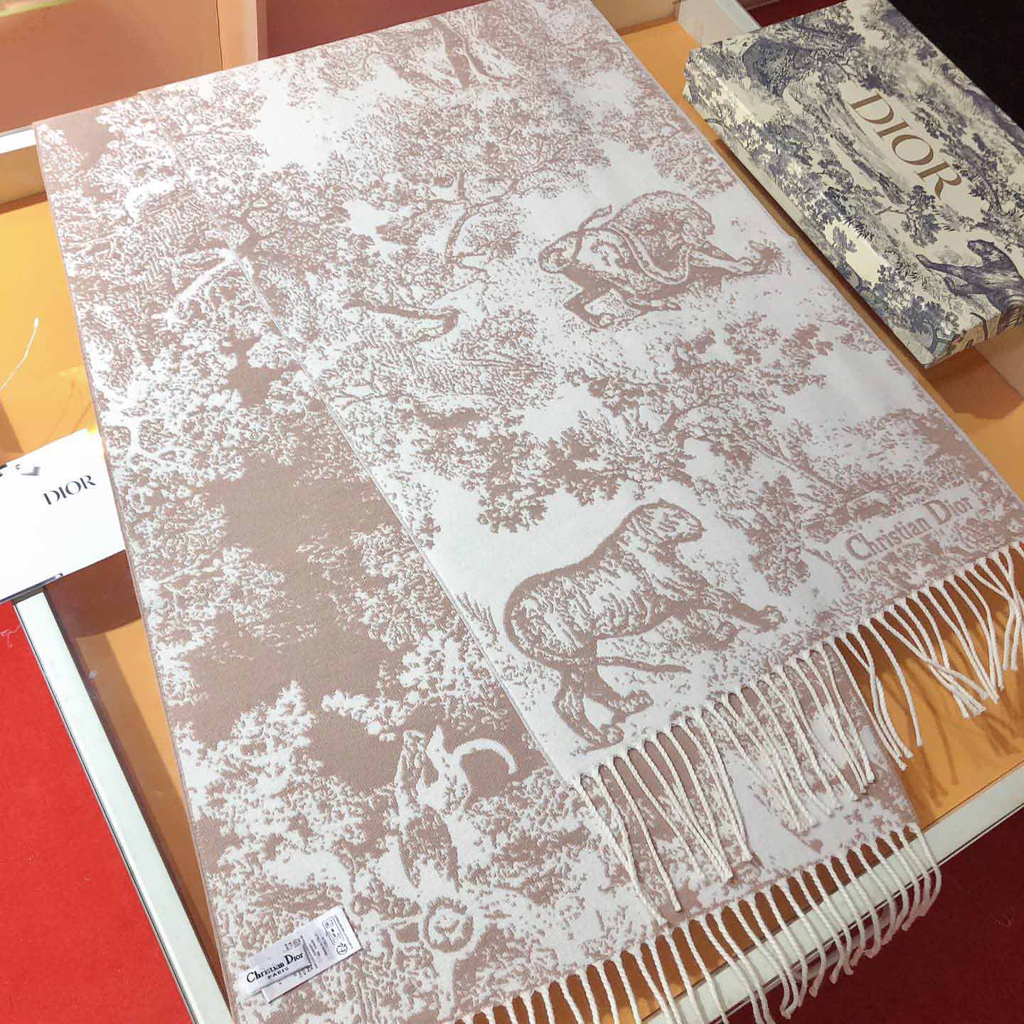 Dior Toile de Jouy Sauvage Scarf - DesignerGu