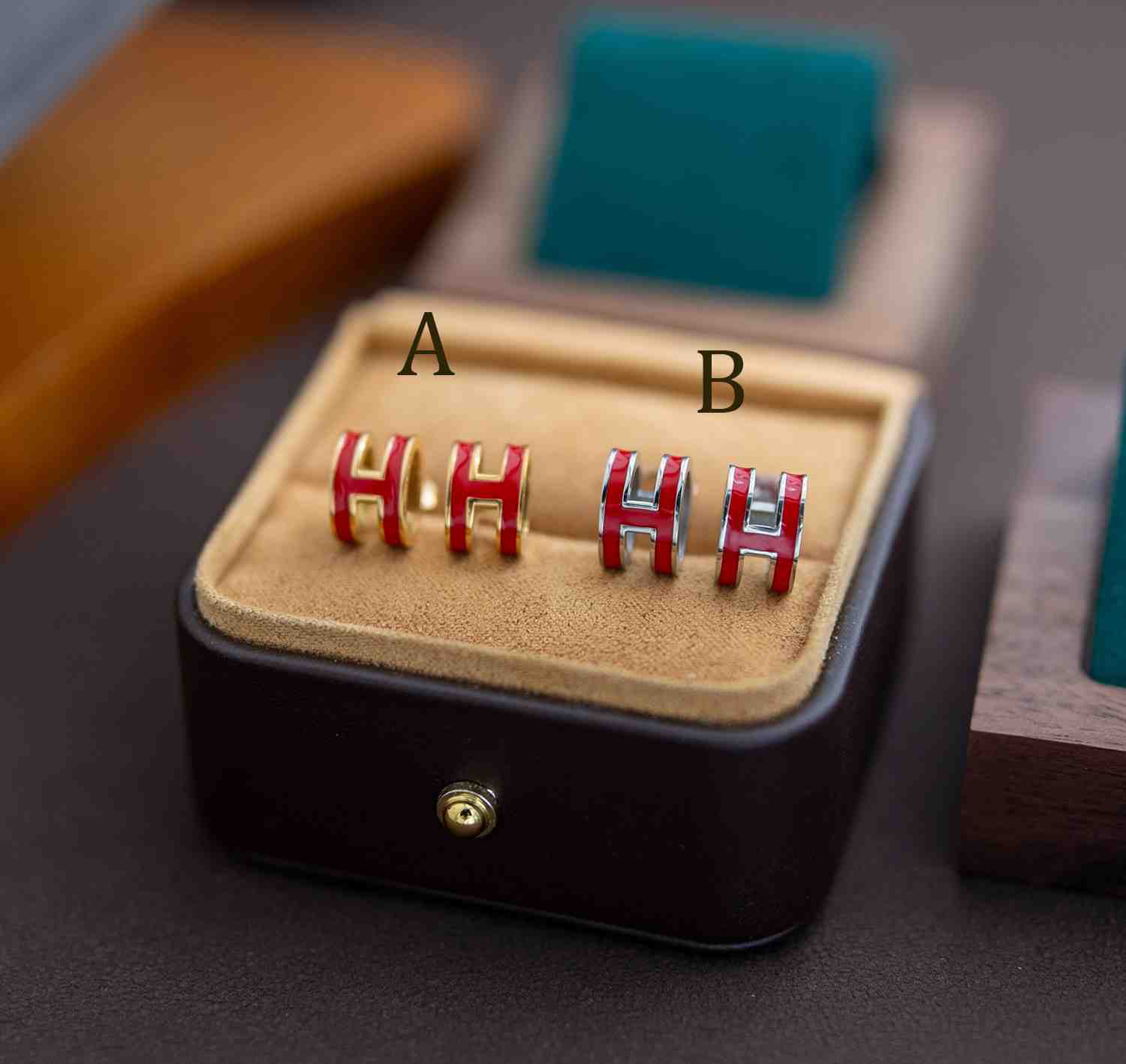 Hermes Earrings - DesignerGu