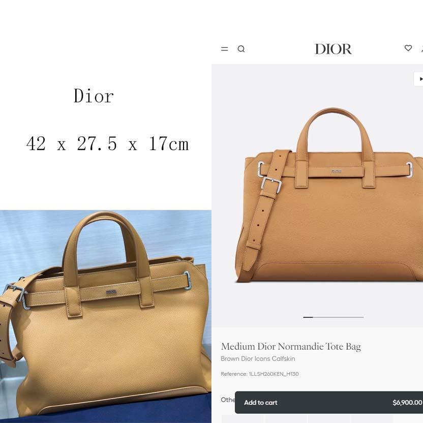 Dior Medium Dior Normandie Tote Bag  - DesignerGu
