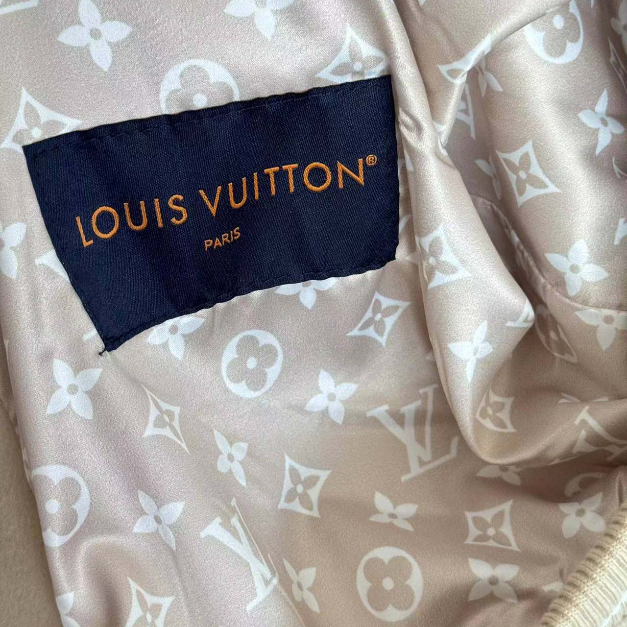 Louis Vuitton LV x The Darjeeling Limited Embroidered Varsity Blouson - DesignerGu