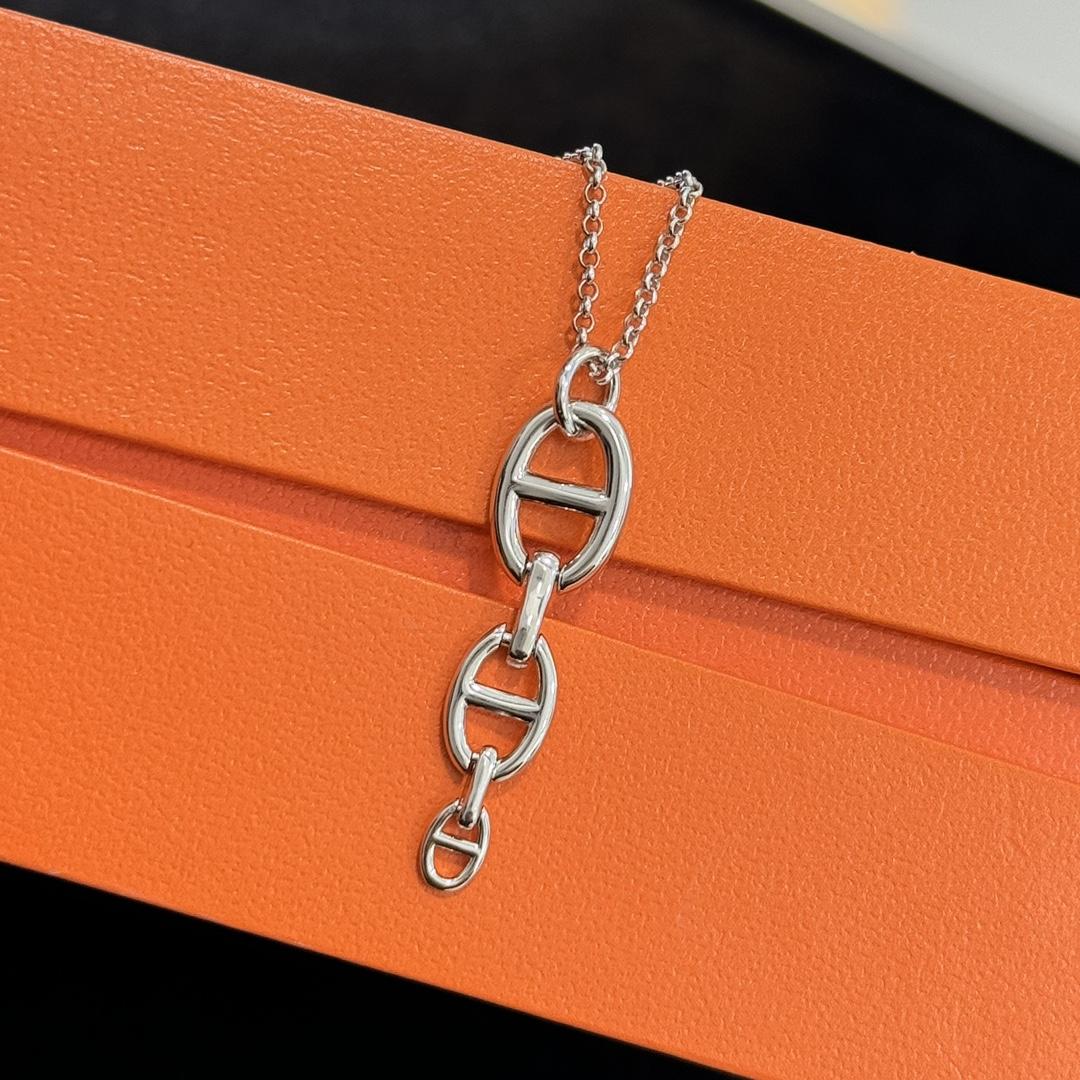 Hermès Pre-Owned 2010s Chaîne d'Ancre Necklace - DesignerGu
