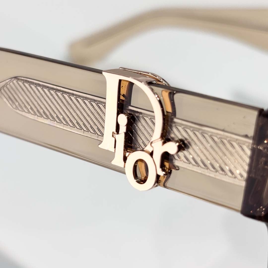 Dior DiorOblique S4I - DesignerGu