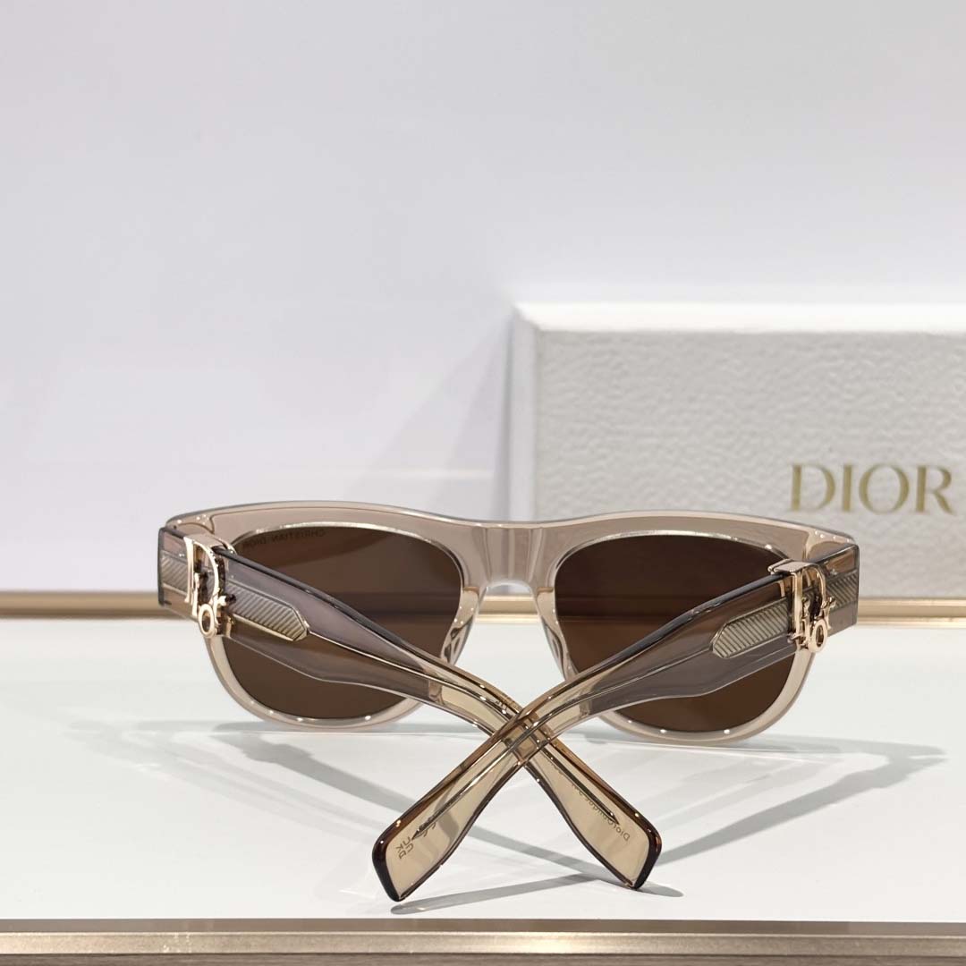 Dior DiorOblique S4I - DesignerGu