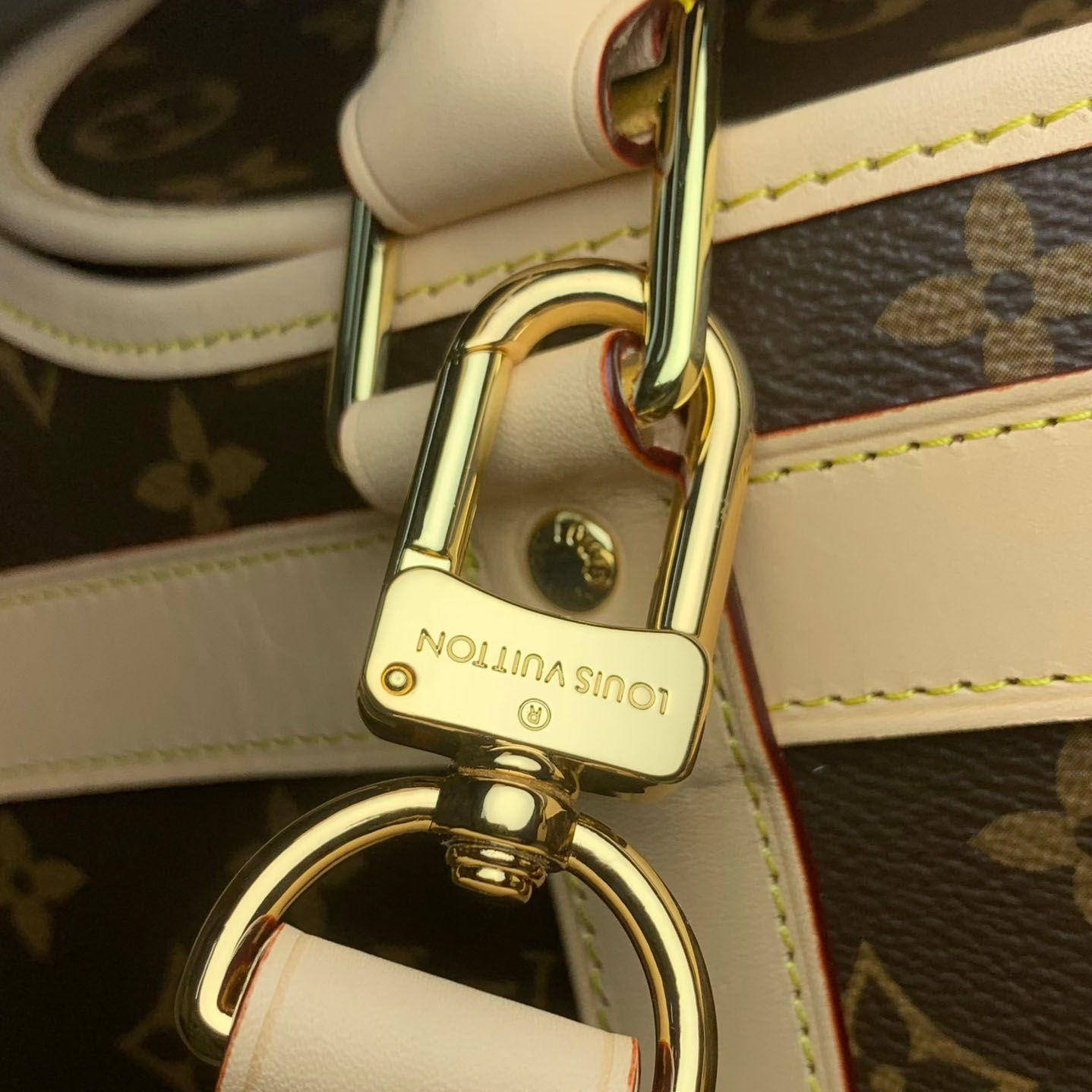 Louis Vuitton Dog Bag M45662 - DesignerGu