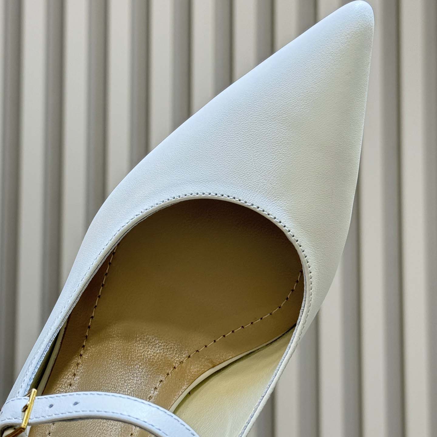 Dior Icon Slingback Pump  - DesignerGu