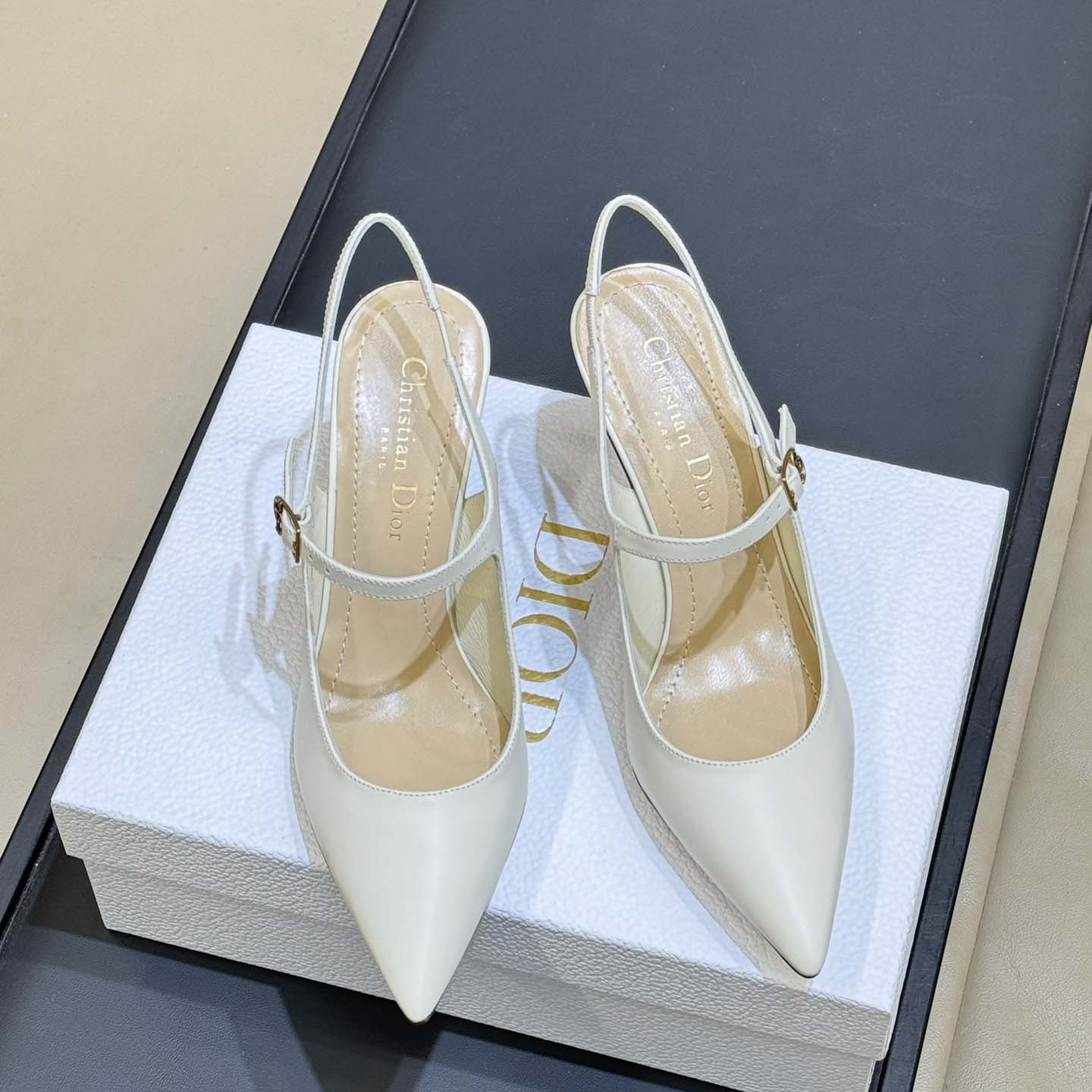 Dior Icon Slingback Pump  - DesignerGu