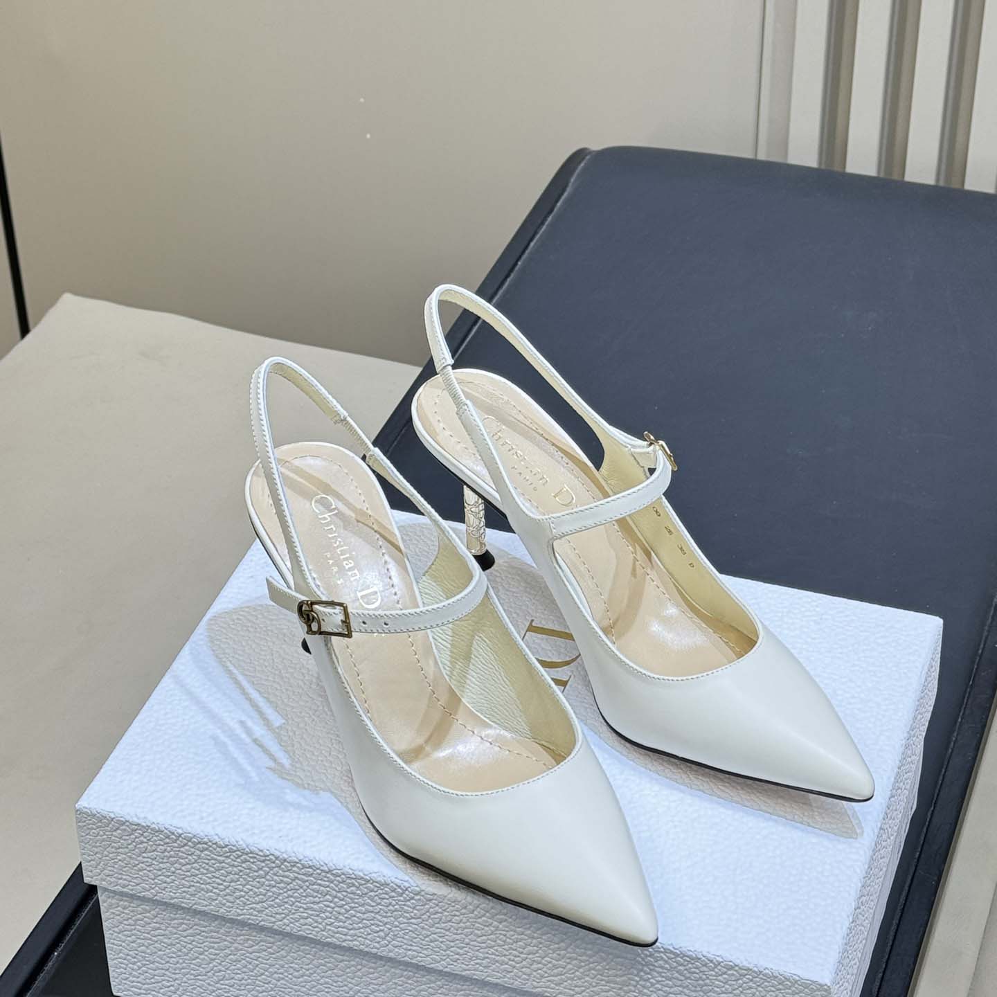 Dior Icon Slingback Pump  - DesignerGu