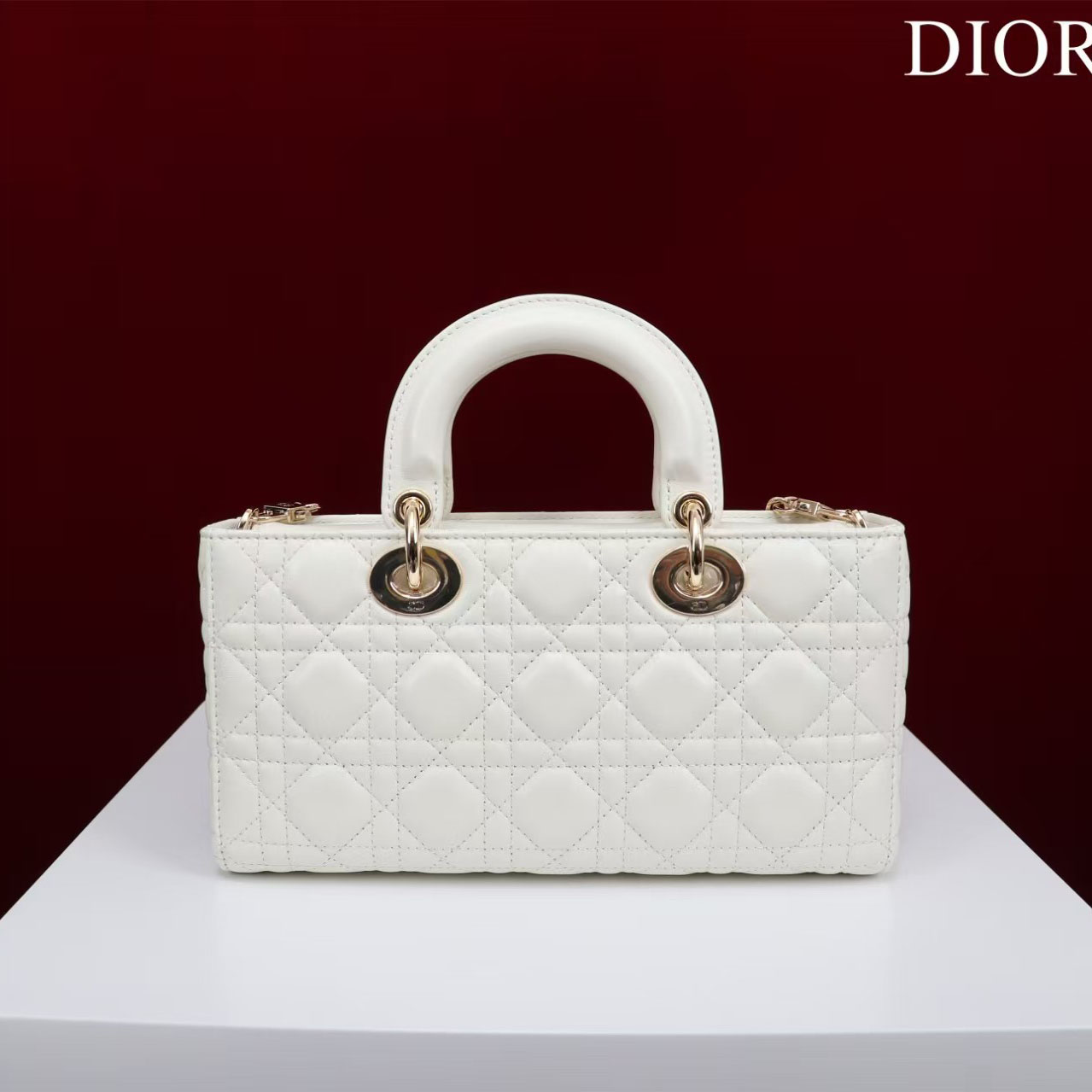 Dior Medium Lady D-Joy Bag - DesignerGu