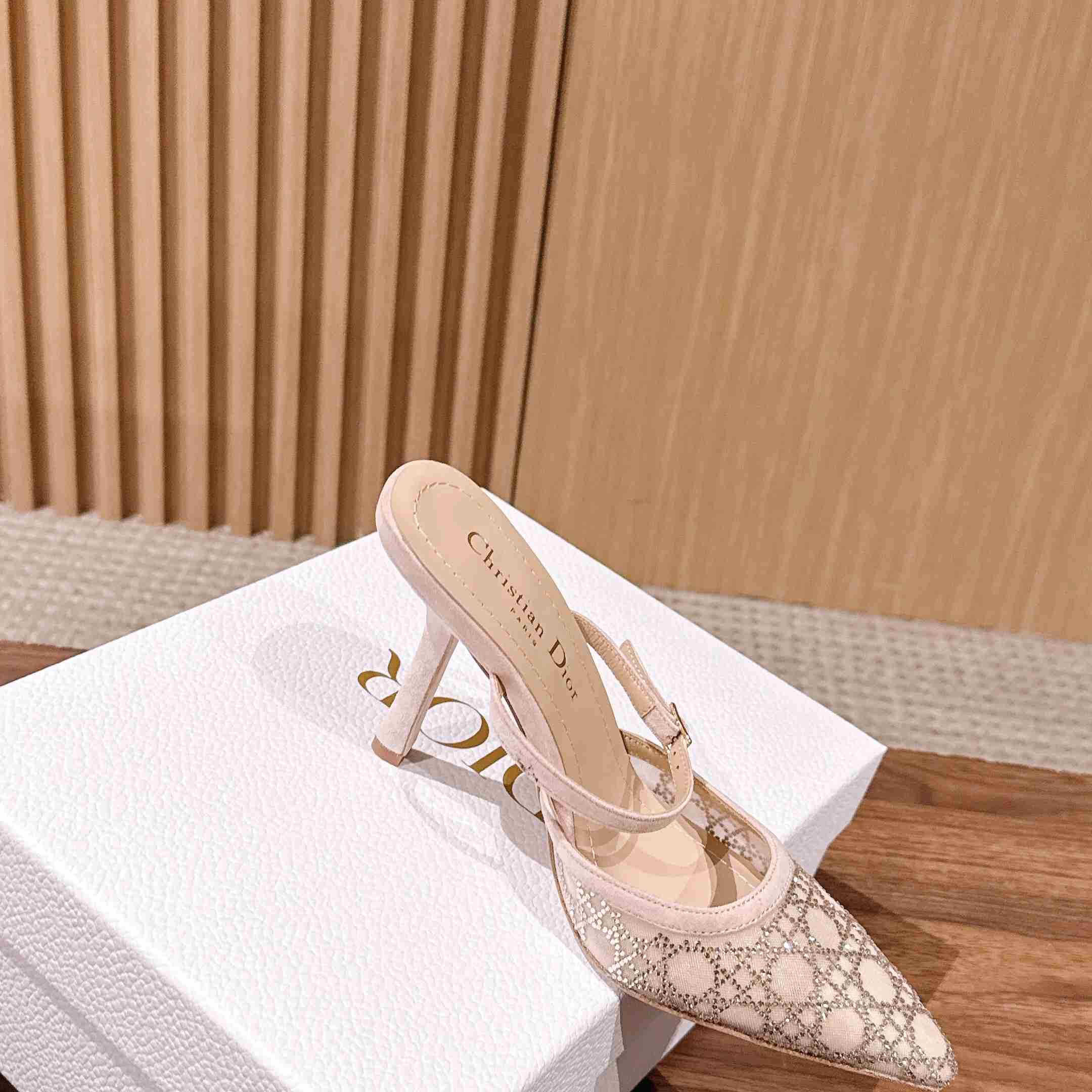Dior Capture Heeled Mule - DesignerGu