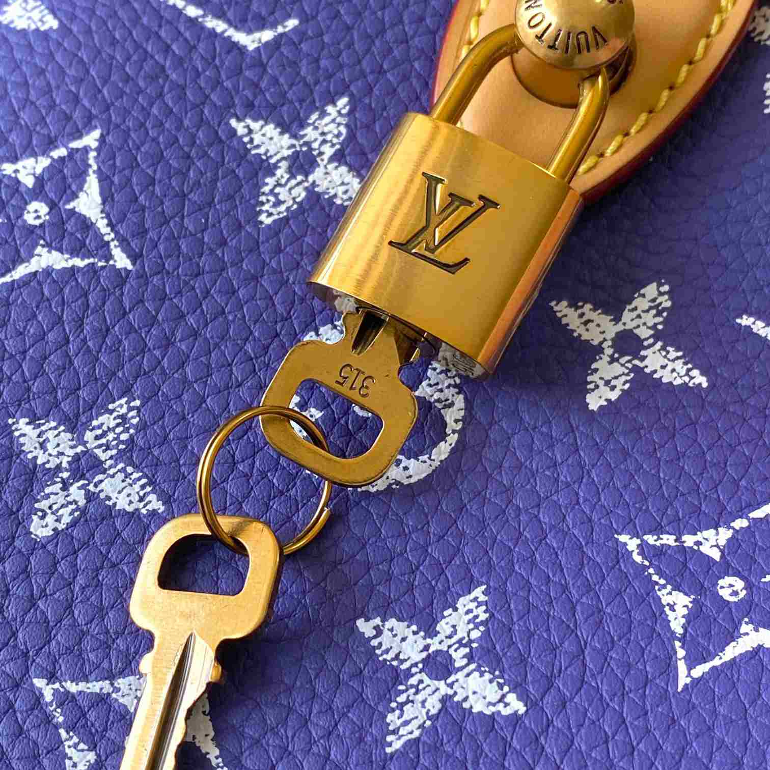 Louis Vuitton Speedy P9 Bandoulière 25 M11562 - DesignerGu