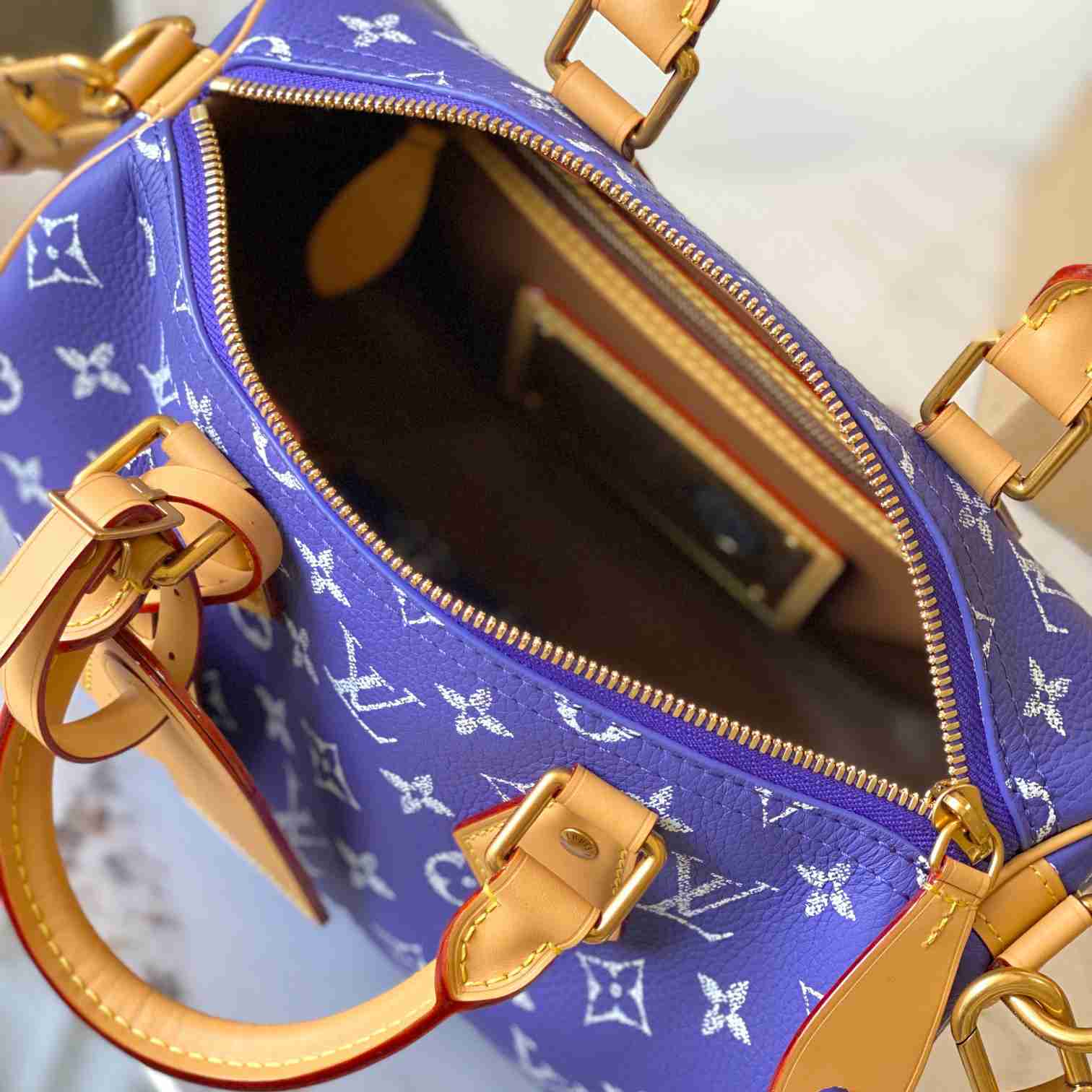 Louis Vuitton Speedy P9 Bandoulière 25 M11562 - DesignerGu