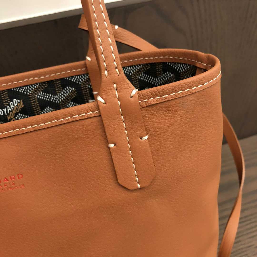 Goyard Anjou Mini Bag  - DesignerGu