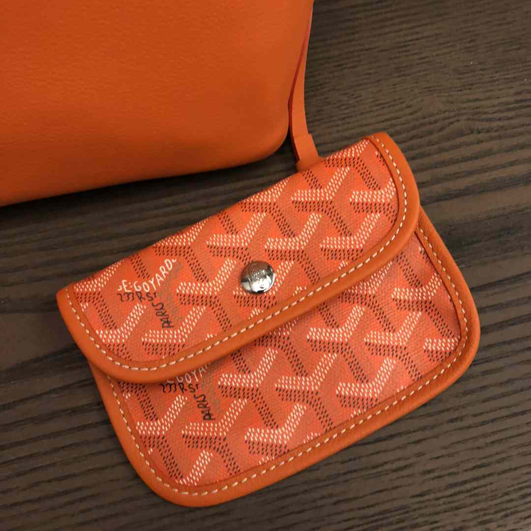 Goyard Anjou Mini Bag  - DesignerGu