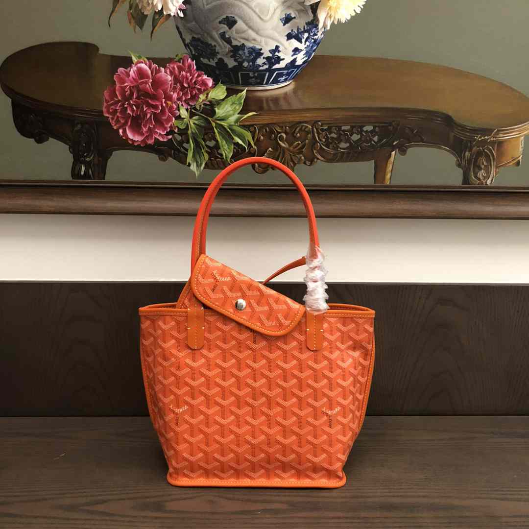Goyard Anjou Mini Bag  - DesignerGu